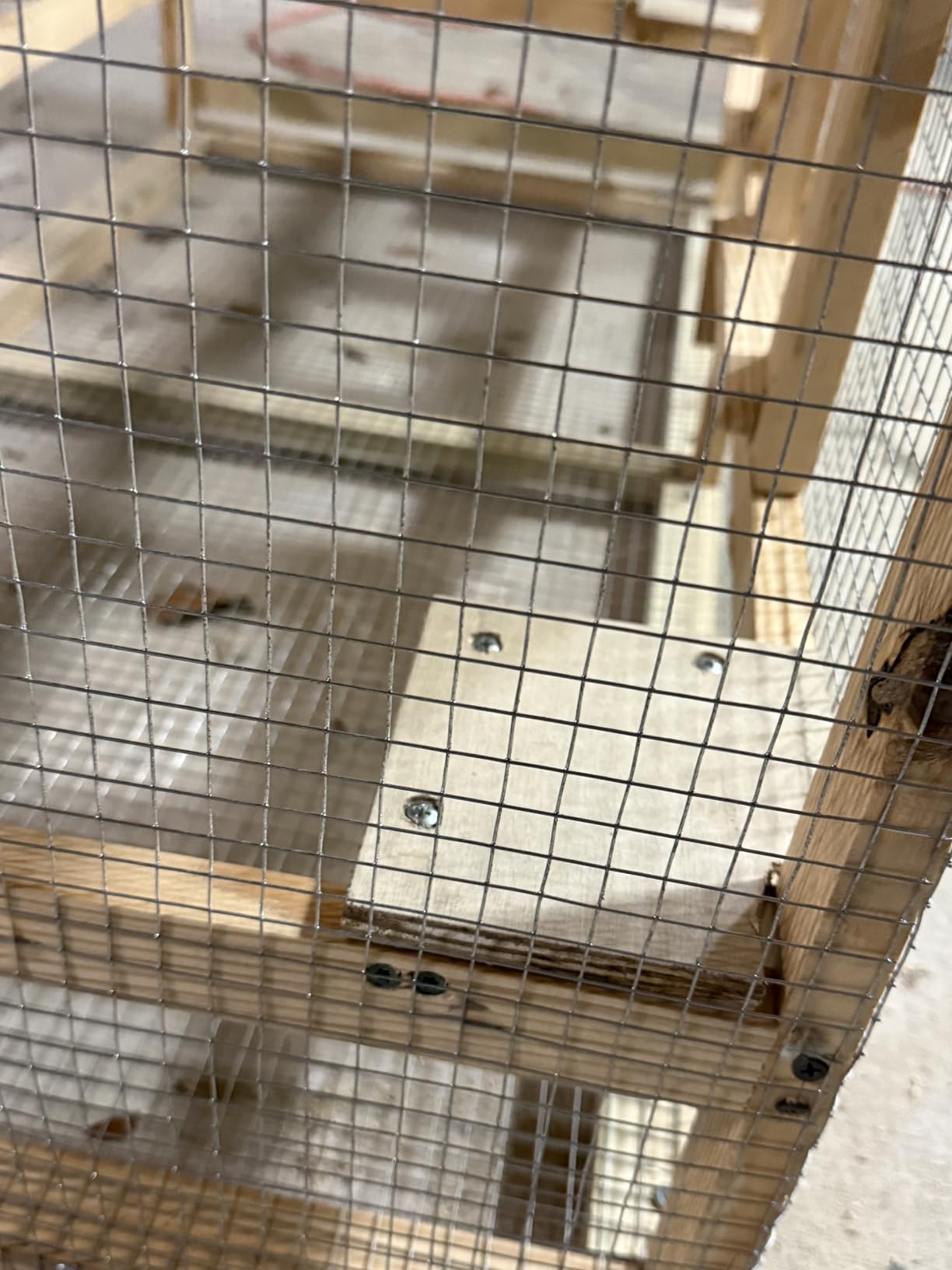 Hardware Cloth 1/2'' Chicken Wire Fencing 48'' x 100' 19-Gauge | Hot-dip Galvanized After Welding Chicken Wire Mesh Roll Works as Chicken Coop Wire for Secure Poultry Enclosures customer photo 1