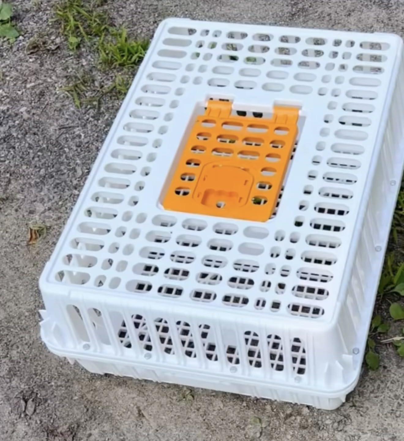 Stromberg's Poultry Transport Crate, Secure Chicken Carrier customer photo 1