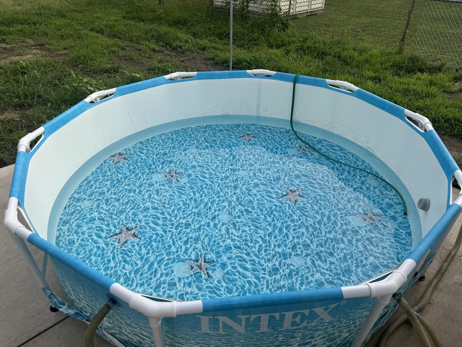 INTEX Beachside Metal Frame 10ft x 30in Round Above Ground Pool | 28206EH - Pool Only (Pump Not Included) customer photo 2
