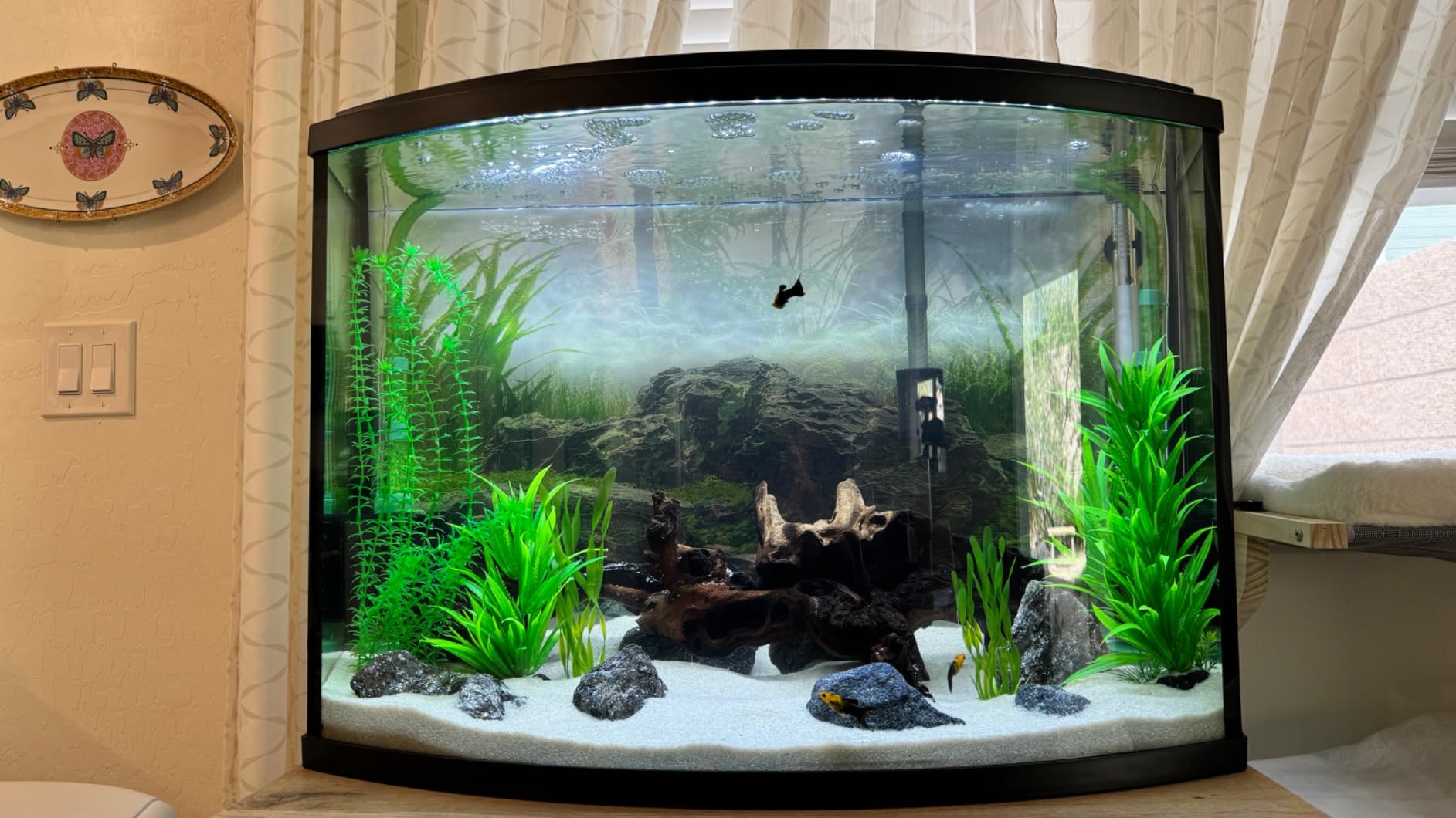 HITOP 4W 110GPH Powerful Aquarium Air Pump, Quiet 2-outlets Aquarium Aerator, Adjustable Fish Tank Air Pump with Accessories, for 20-200 Gallon Tank, with ON/Off Button customer photo 2