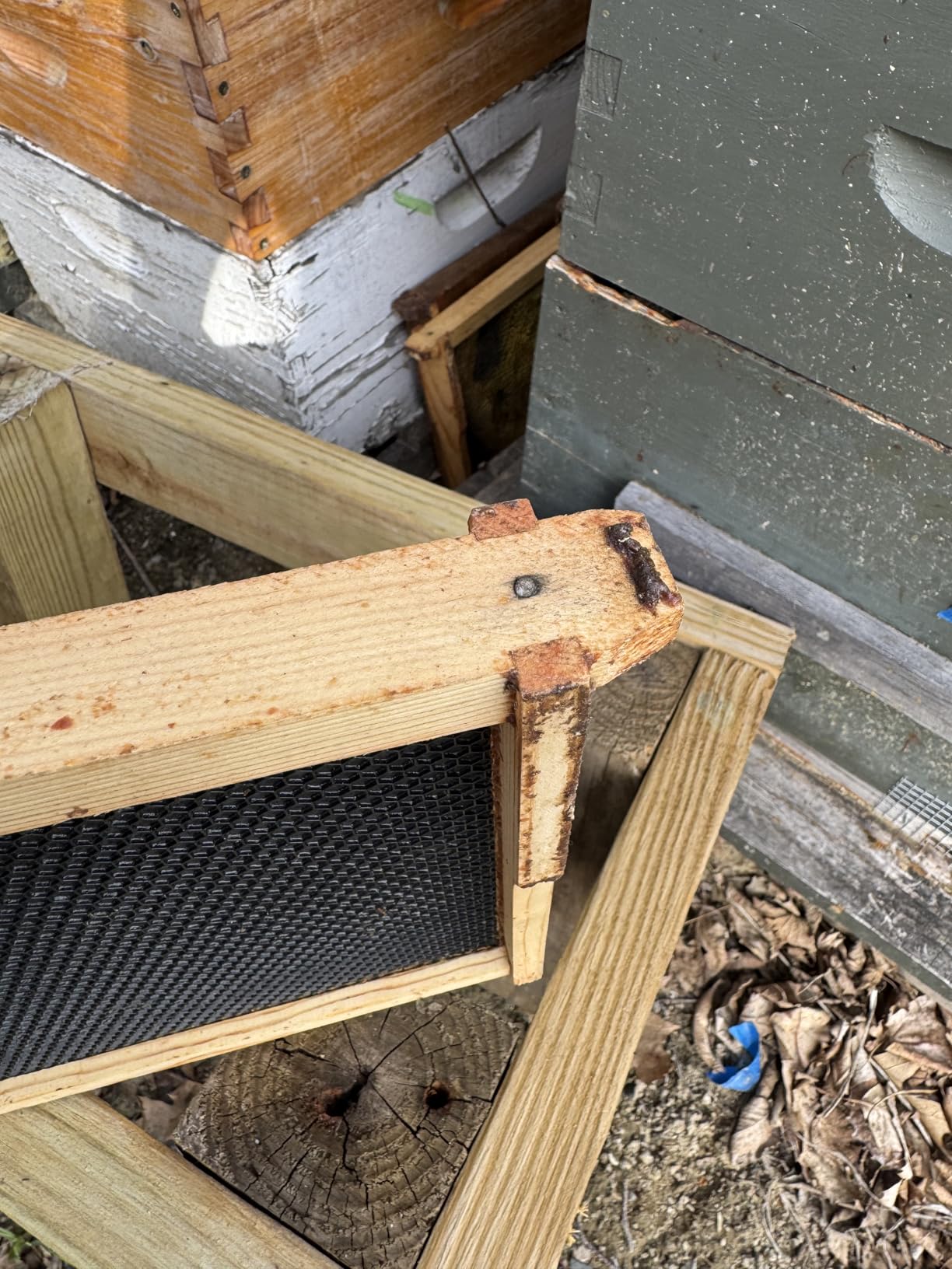 Beehive 10 Frame Bee Hives and Supplies Starter Kit, Bee Hive for Beginner, Honey Bee Hives Includes 1 Deep Brood Hive Box, 1 Bee Hive Super Box with Beehive Frames and Foundations customer photo 2