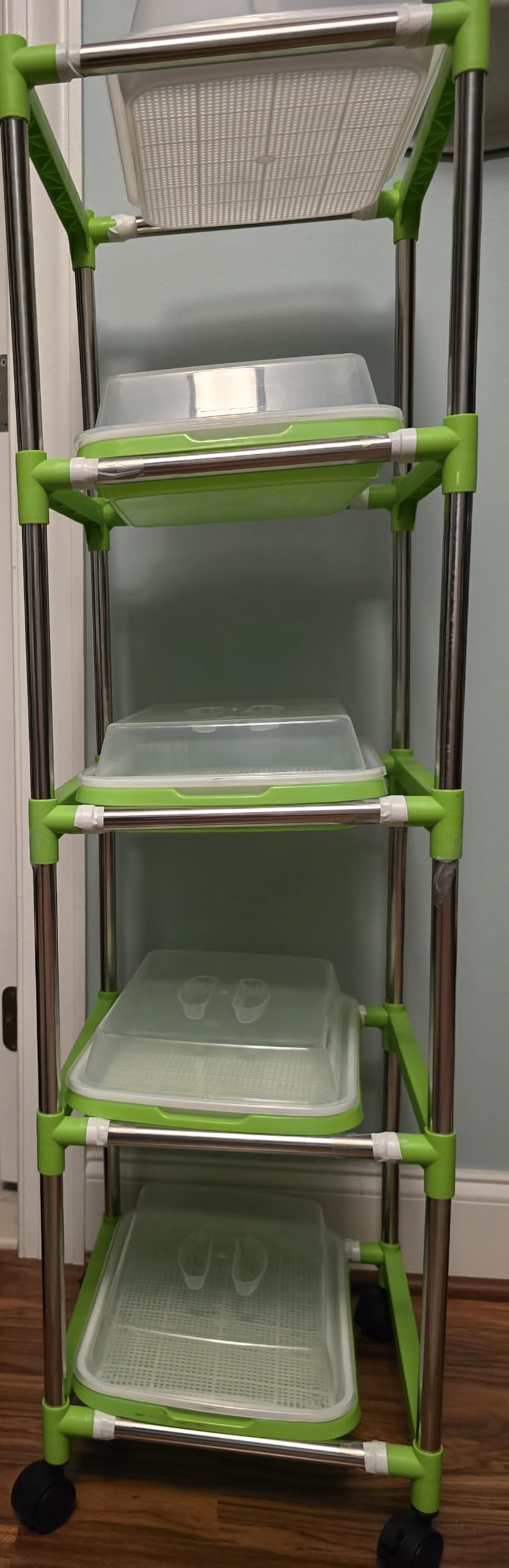 5 Layers Seed Sprouter Trays with Lids and Stainless Steel Shelf customer photo 1