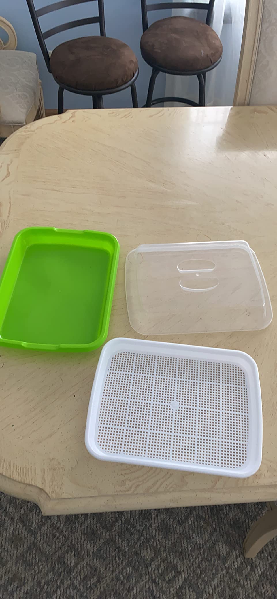 5 Layers Seed Sprouter Trays with Lids and Stainless Steel Shelf customer photo 2