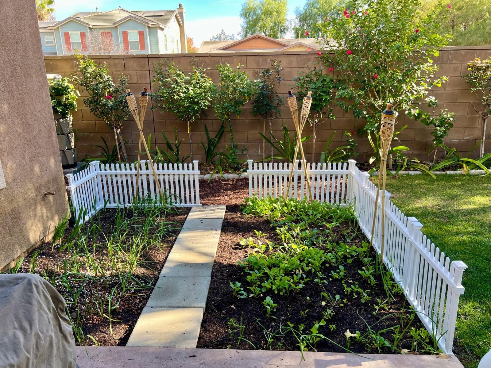 Zippity Roger Rabbit Garden Fence, White Vinyl DIY No Dig Kit | 2ftH x 2ftW, 3 Panels, Garden Border Edging, ZP19056 customer photo 1