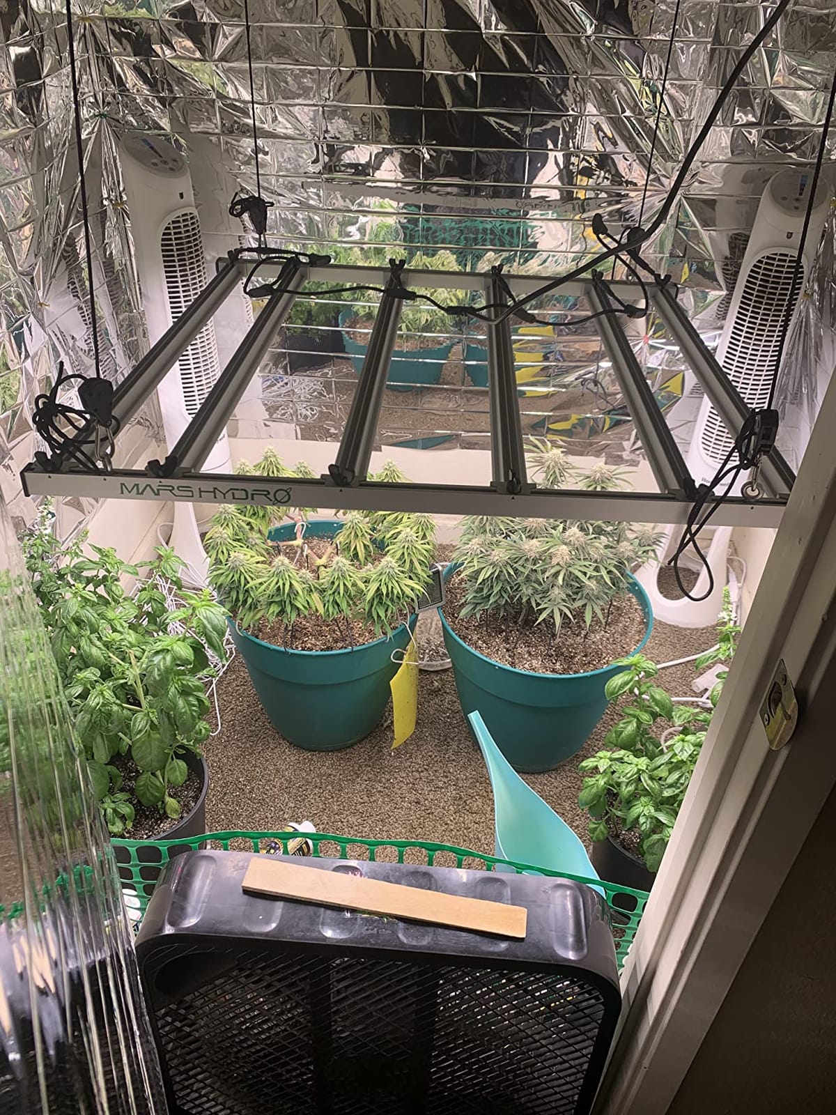 Mars Hydro FC-E4800 480W 4x4 LED Grow Light Full Spectrum Veg Bloom Flower customer photo 1