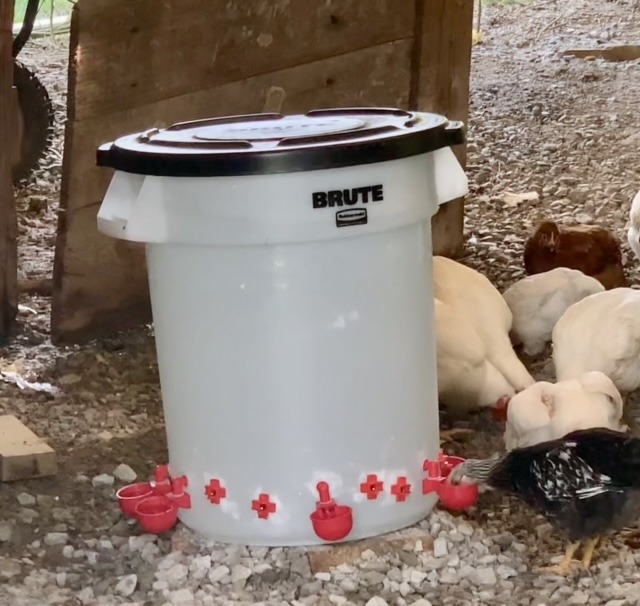 Poultry Pro DIY Chicken Feeder Kit, Weatherproof, 3 Ports & Hole Saw customer photo 2