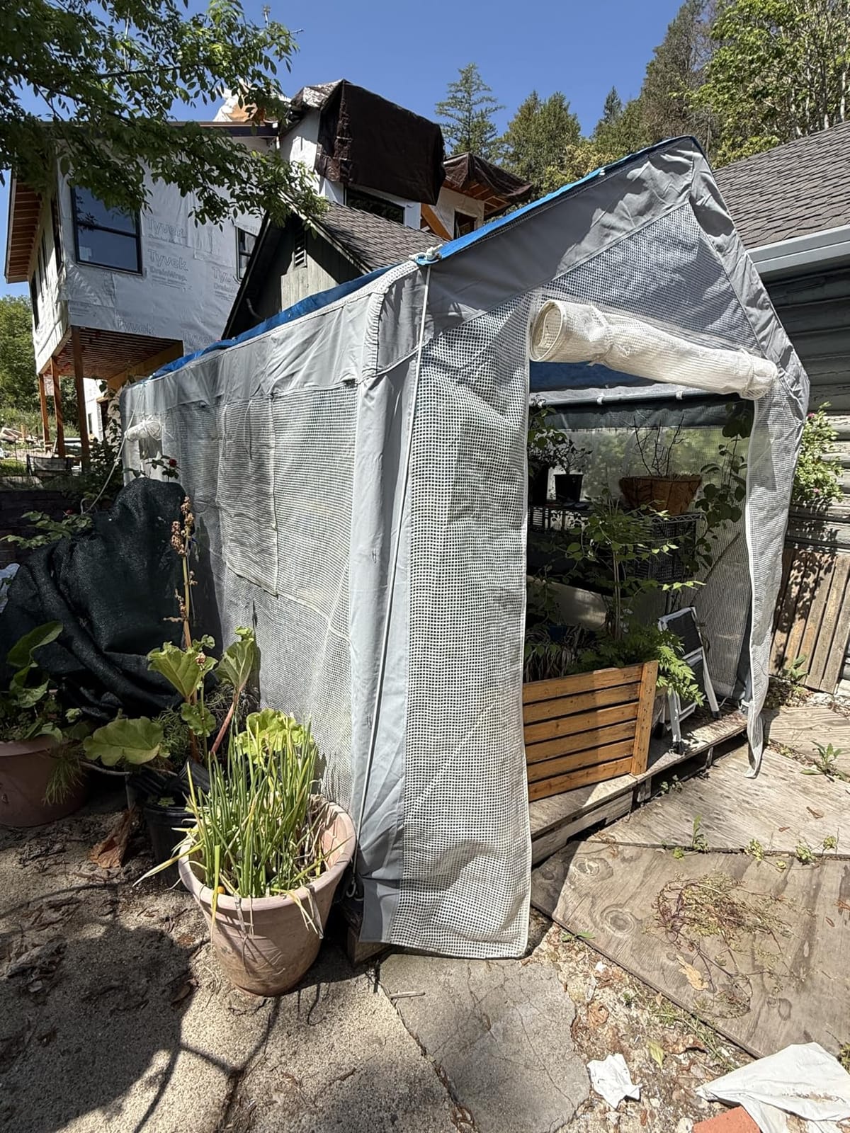 Outsunny 20' x 10' x 9' Walk-in Greenhouse with 6 Roll-up Windows White customer photo 2