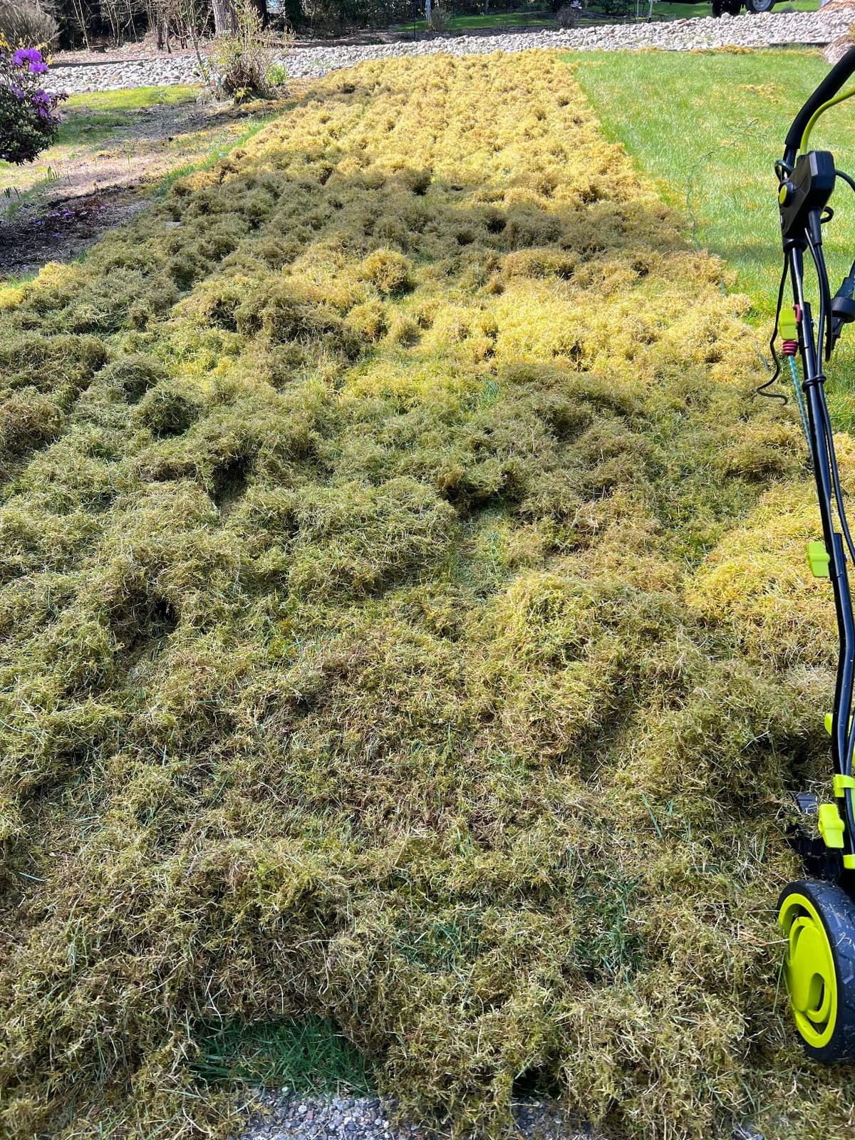Sun Joe 15-Inch Lawn Dethatcher with Scarifier Blade Reel, AJ805E | and Collection Bag - 13-Amp Corded Yard Power Rake Tool Machine for Grass Thatch Removal, Electric Powered customer photo 2
