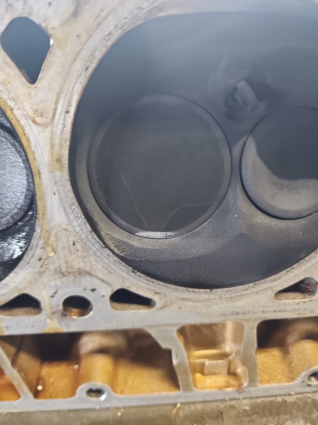 Michigan Motorsports Sloppy Mechanics Stage 2 Camshaft 4.8 5.3 5.7 6.0 6.2 LS LS1 LS2 LQ4 LQ9 Elgin 1840-P (Camshaft, Springs and Hat Seals) customer photo 2