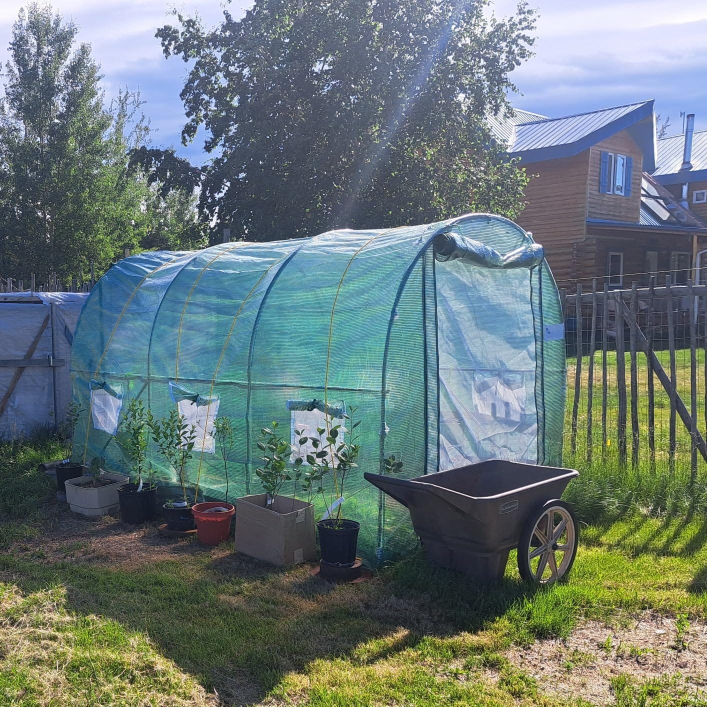KING BIRD Premium 10x7x7FT Greenhouse for Outdoors, Galvanized Steel Frame | Screen Mesh Door Window Plastic Cover, Upgraded Walk-in Zipper Small Portable Tunnel Hoop House for Outside, Green customer photo 2