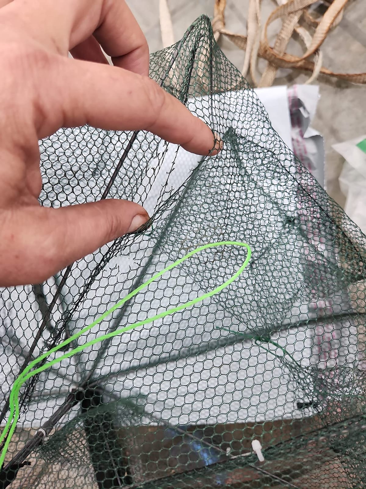 Foldable Fish Trap,Minnow Crawfish Crab Crayfish Bait Net,Portable Shrimp customer photo 2