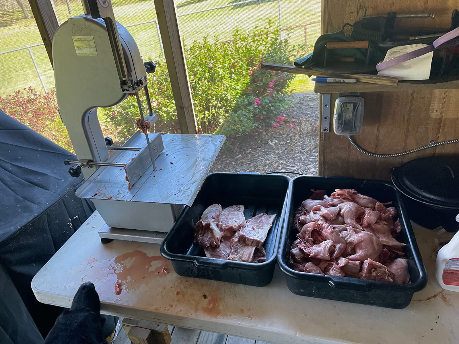 1500W Electric Bone Saw Machine, 0.8-5.9 Inch Cutting Thickness, 2.6HP Frozen Meat Cutter 110V Commercial Bandsaw Machine, 20x15in Table Sawing for Chicken Fish Trotter Beef, Equipped with 6 Saw Blades customer photo 1