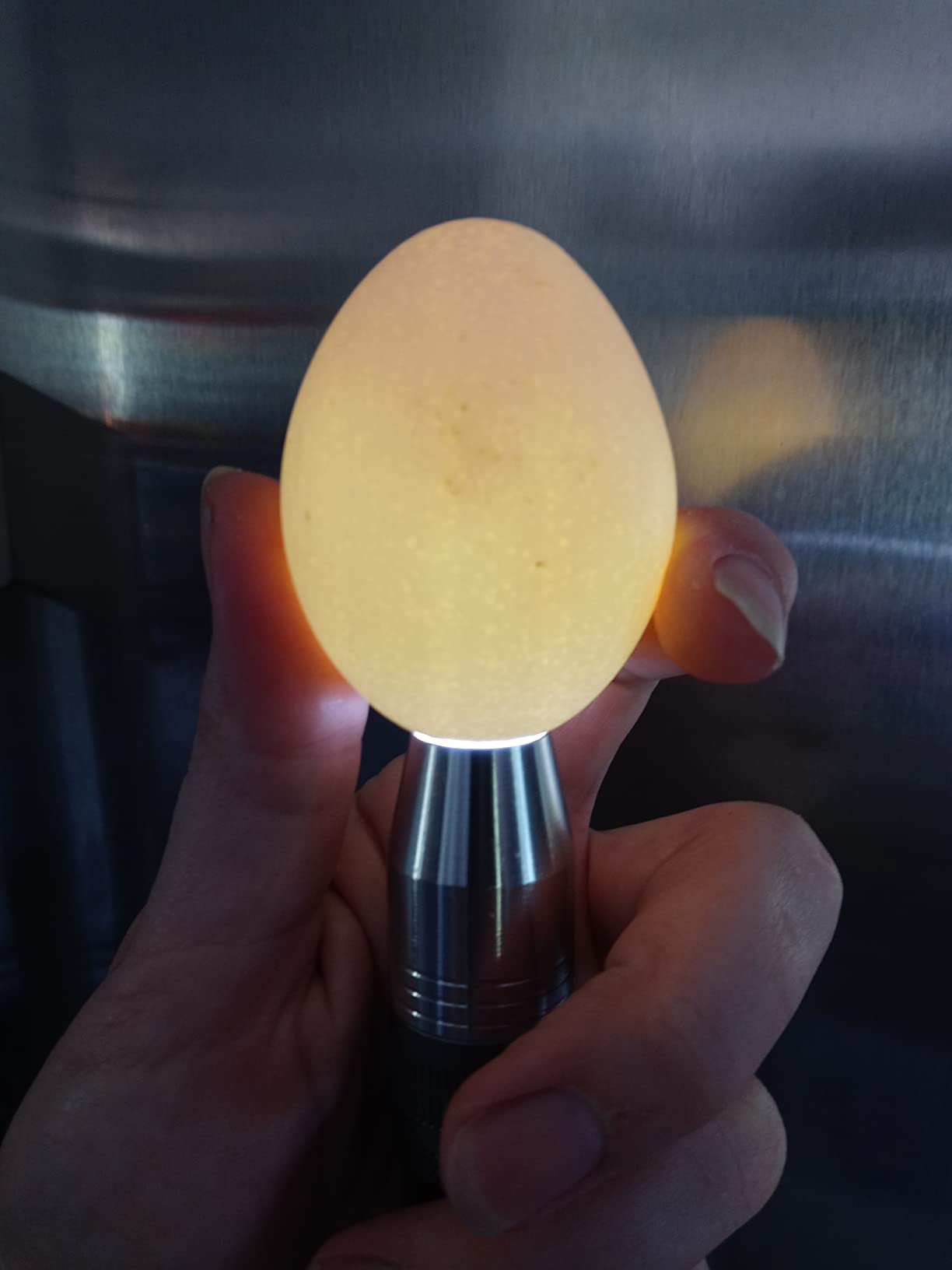 Egg Candler for Chicken Eggs, Rechargeable USB Egg Candling Light customer photo 1