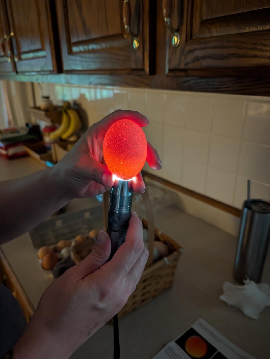 Egg Candler for Chicken Eggs, Rechargeable USB Egg Candling Light customer photo 2