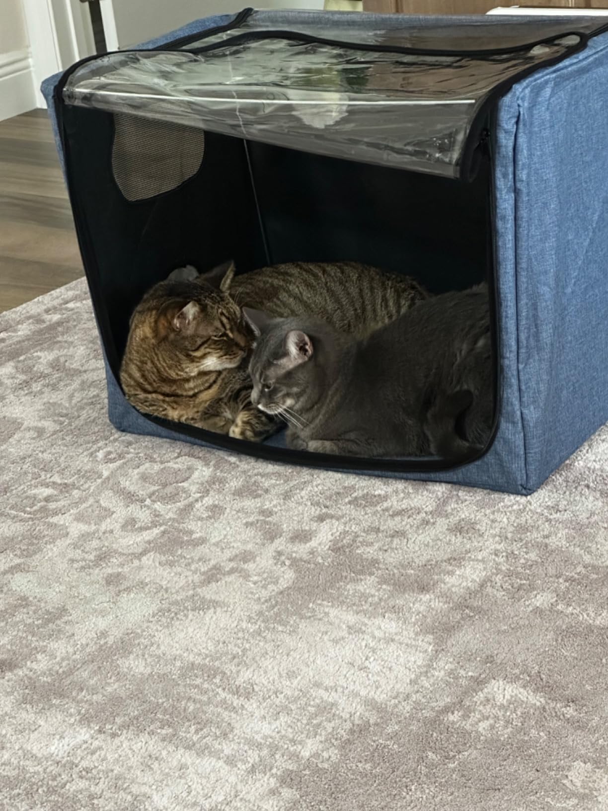 Pet Atomization Nest,Cat and Dog Atomization Box Oxygen Inhalation Machine Dedicated Folding Atomization Box,Small Pet Oxygen Inhalation Box ICU Cage-Grey 24 in,7ecr8-001 customer photo 1