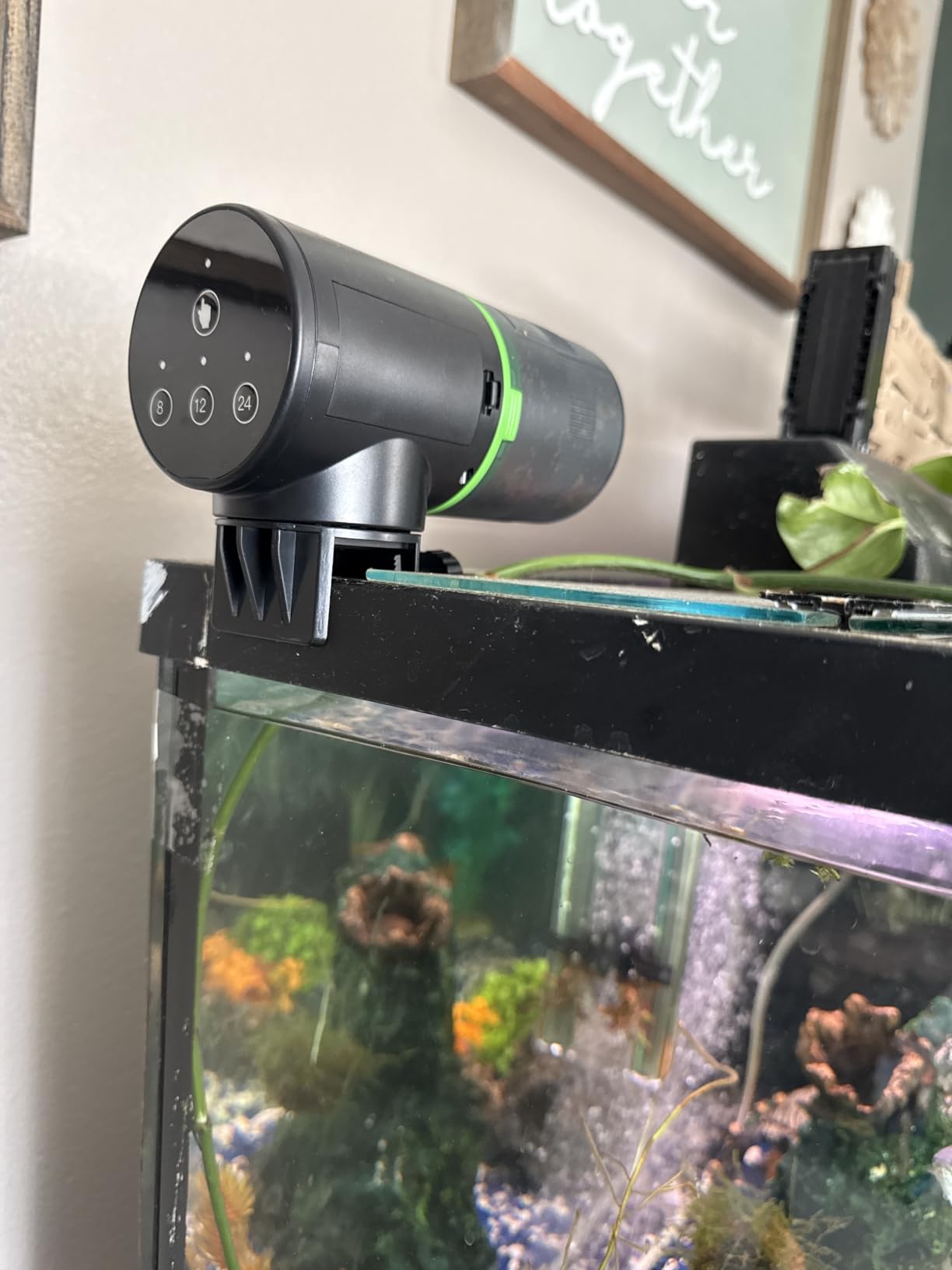 Freesea Automatic Fish Feeder for Aquarium: One-Touch Easy Setup & 3 Timers customer photo 1