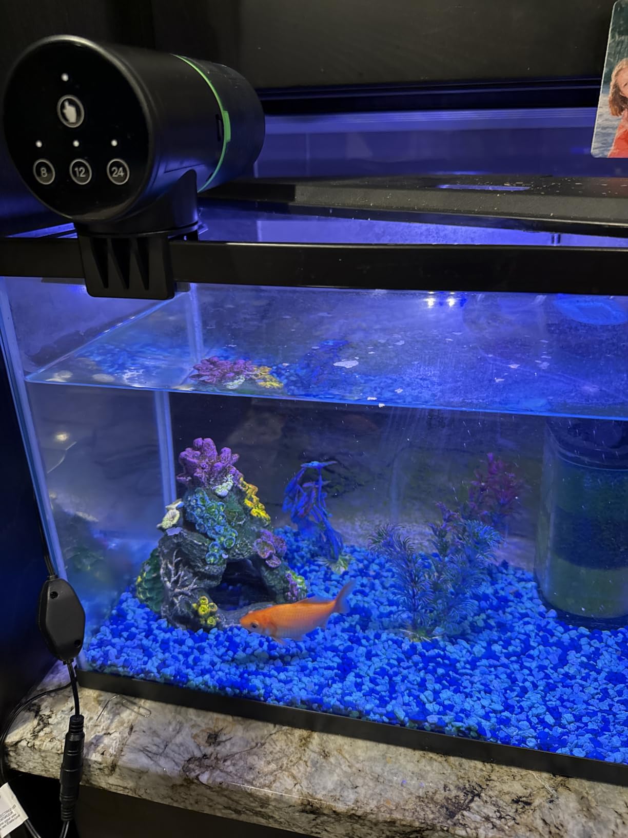 Freesea Automatic Fish Feeder for Aquarium: One-Touch Easy Setup & 3 Timers customer photo 2