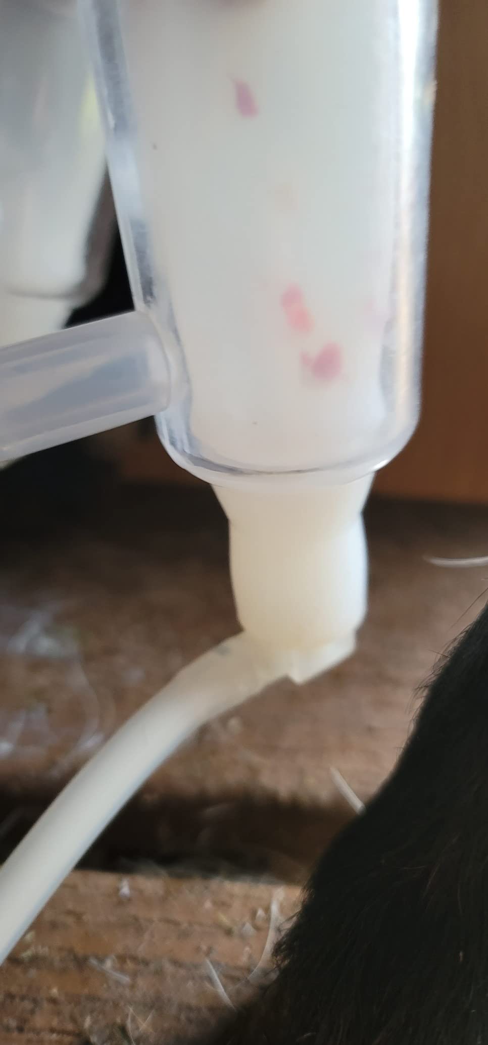 12L Cow Milking Machine, Plug-in Pulsation Pump Milker (Classic) customer photo 2