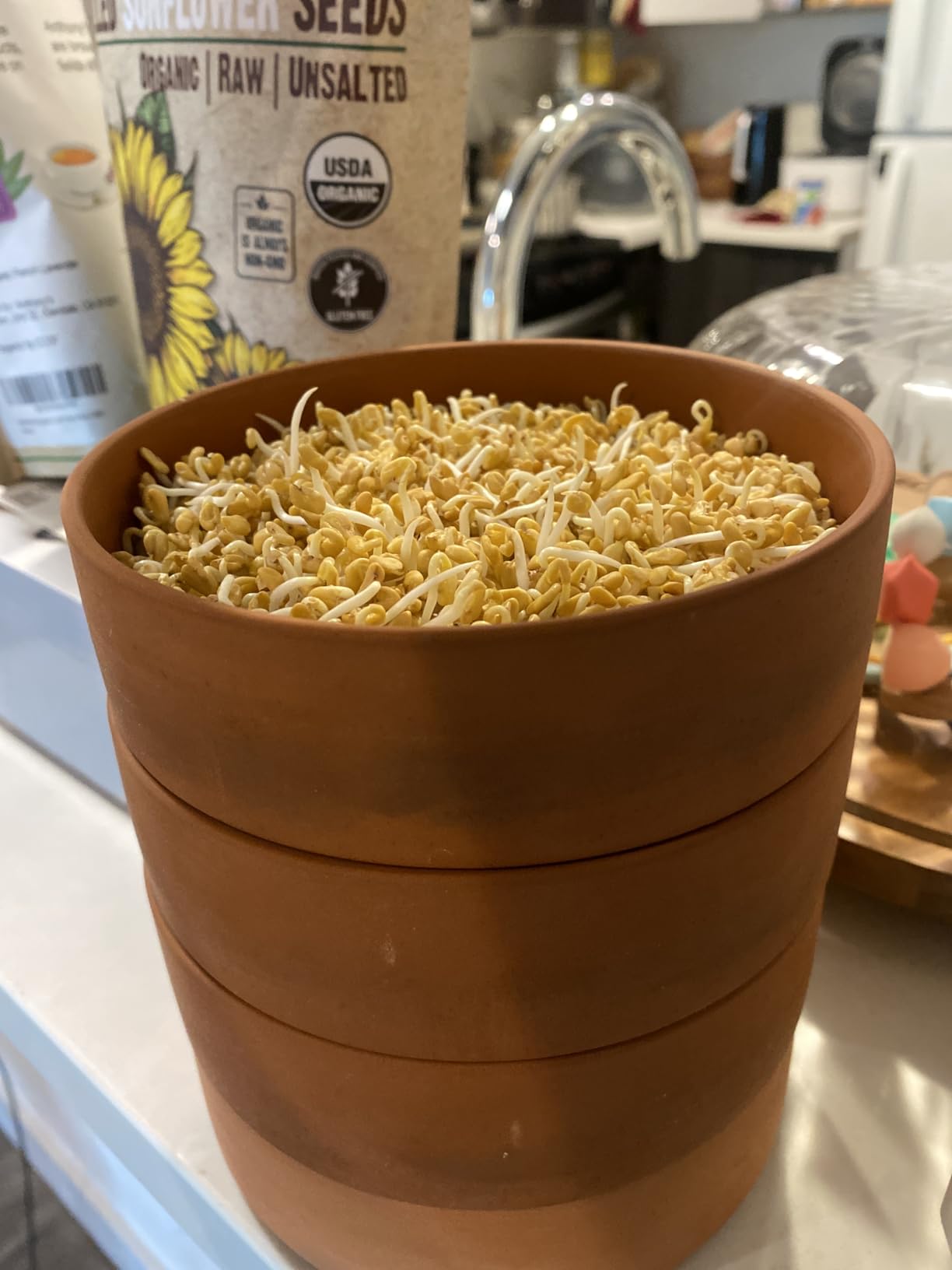 Clay Sprouter Kit | Terracotta Tower with 3 Shallow Germinating Trays, Paper Discs & Free E-Book | 2 in 1 Sprouting Trays Ideal for Germinating Sprouts and Microgreens customer photo 1