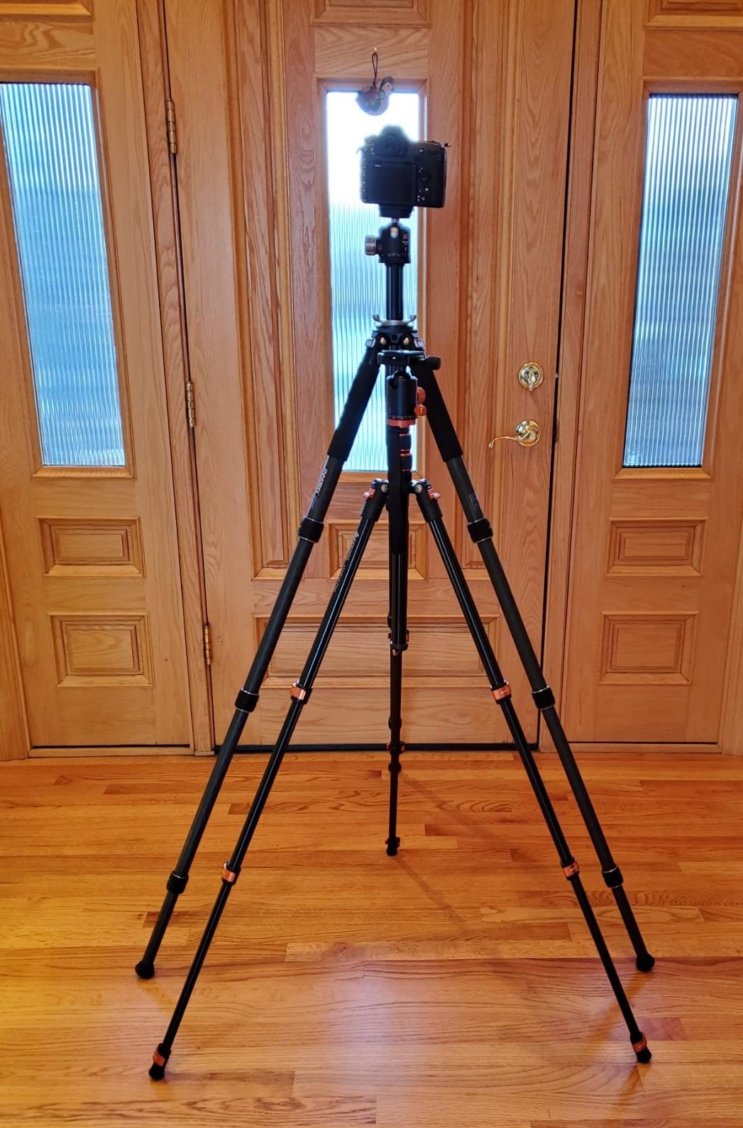 Carbon Fiber Camera Tripod-INNOREL GT324C Professional Compact Shooting Tripod for Heavy Duty Stand with Low Gravity Center Ball Head Special-Shaped Center Column customer photo 2