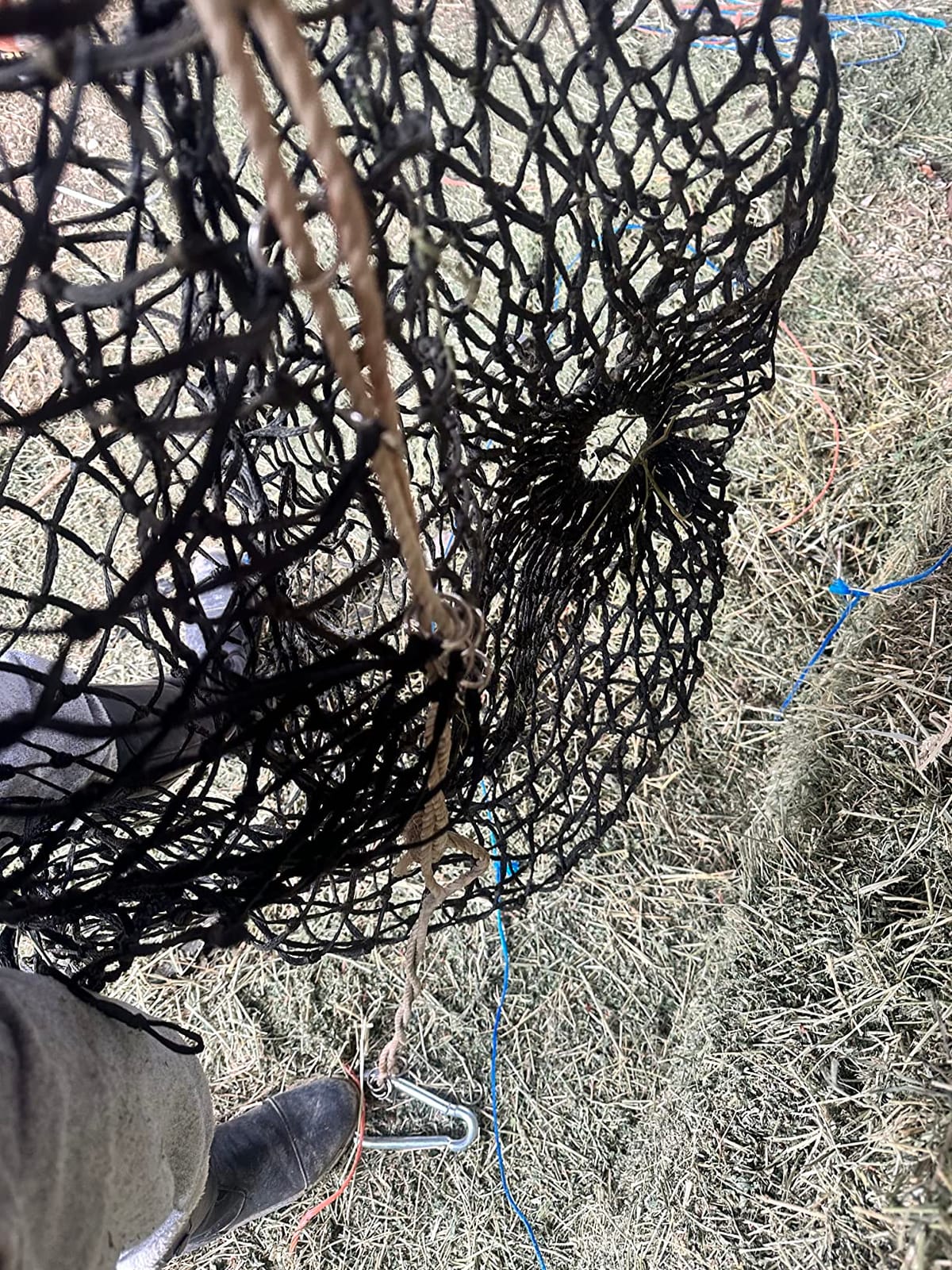 Bloomoak Slow Hay Net Feeder for Horses, Durable Soft Black PE 2/3 String Hay Bales Bags, Fit 36x18x18 to 47x25x17 Inches, Extends 50-64 Inches (2 1.6