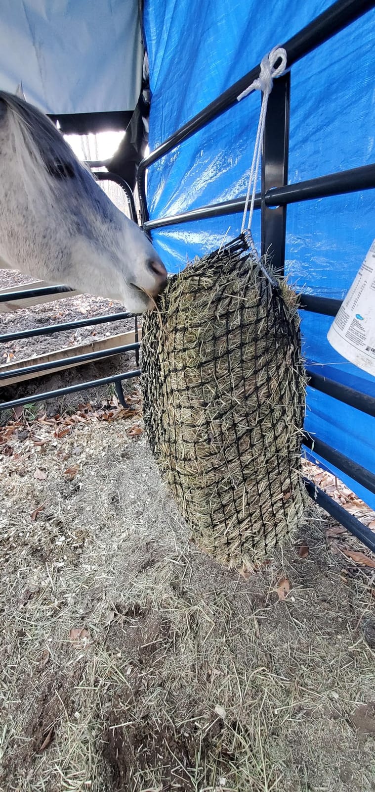Bloomoak Slow Hay Net Feeder for Horses, Durable Soft Black PE 2/3 String Hay Bales Bags, Fit 36x18x18 to 47x25x17 Inches, Extends 50-64 Inches (2 1.6