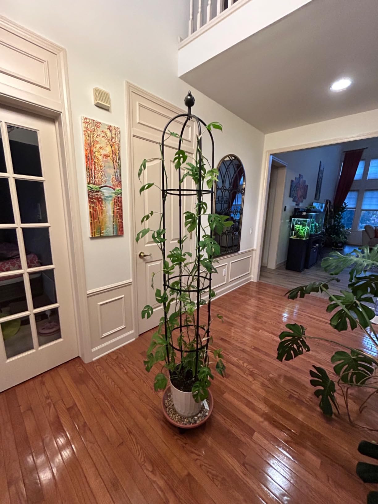 6FT Obelisk Trellis for Climbing Plants, Kalolary Garden Tower Trellises customer photo 1