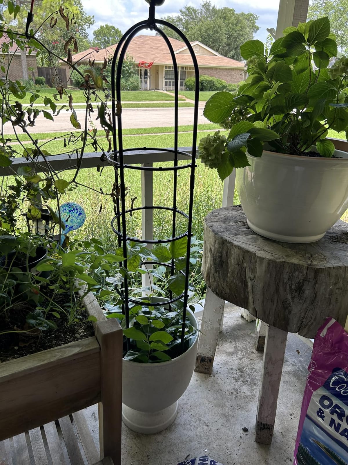 6FT Obelisk Trellis for Climbing Plants, Kalolary Garden Tower Trellises customer photo 2