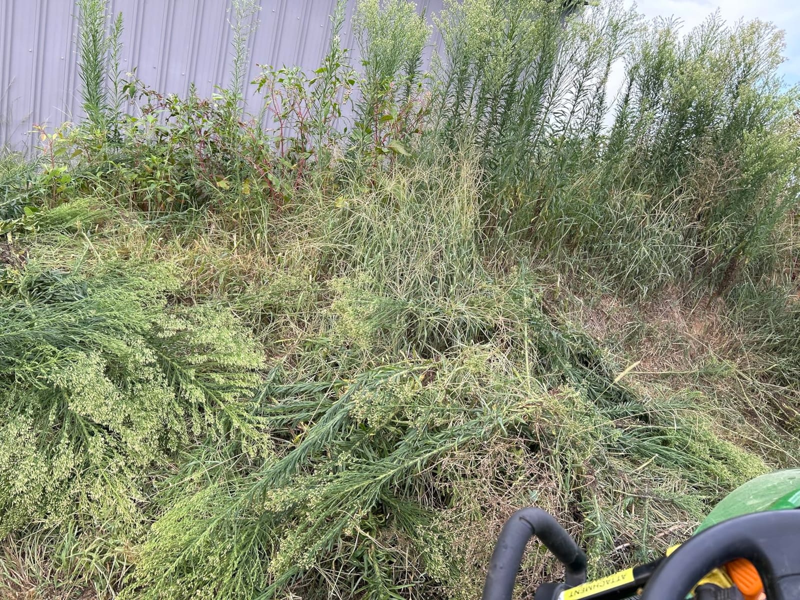 8 Inch Brushcutter Attachment customer photo 2