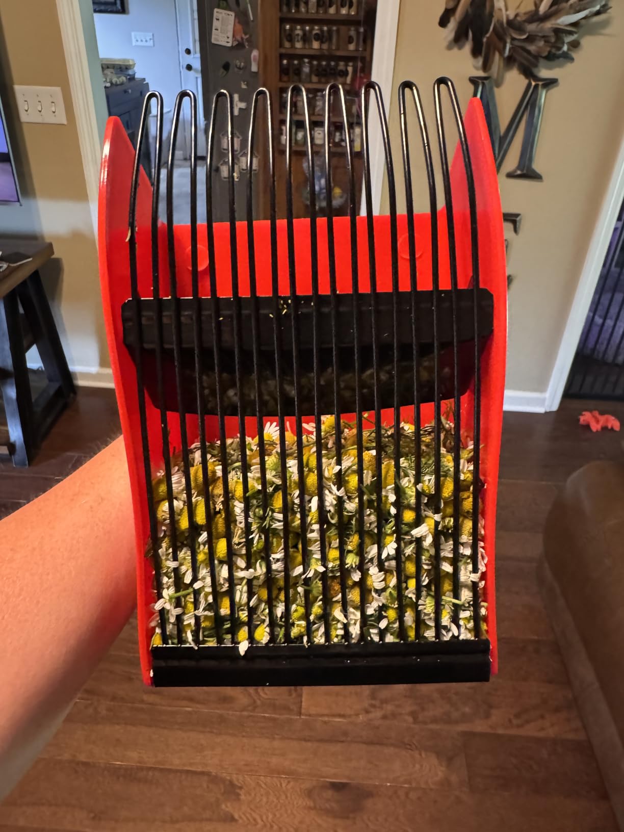 1/2/4 Pack Berry Picker, with Metallic Comb and Ergonomic Handle customer photo 1