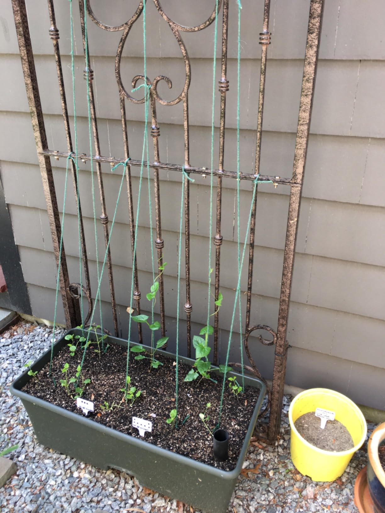 Bstrip DIY Plant Shelf with Grow Light, Adjustable, 29.5x13.8x70.9in customer photo 2