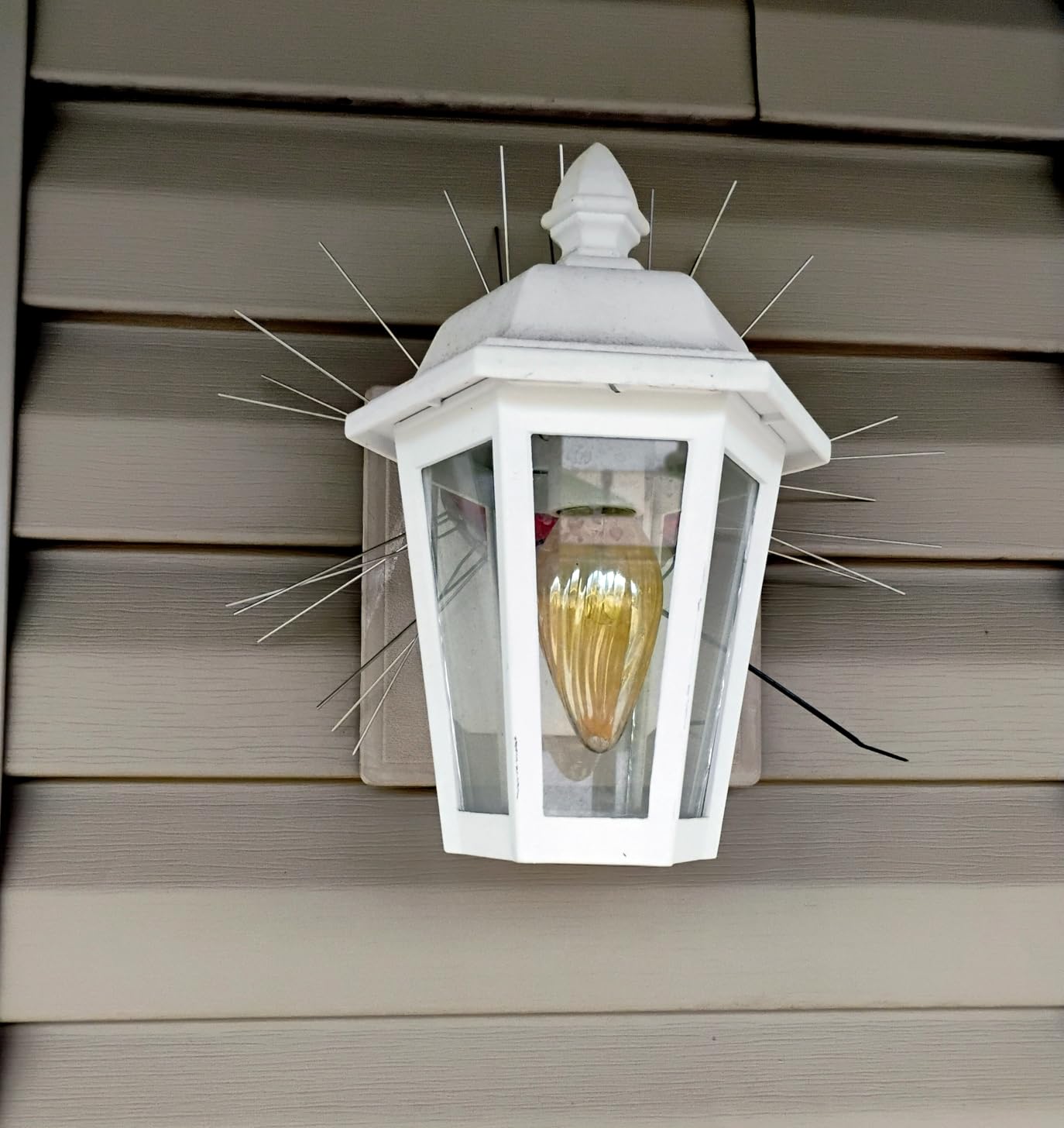 OFFO Bird Spikes for Outside, 304 Stainless Steel, 4 Pcs, 3.4 Ft - For Roof, Porch, Mailbox, Light, Window Ledges, Fence customer photo 1