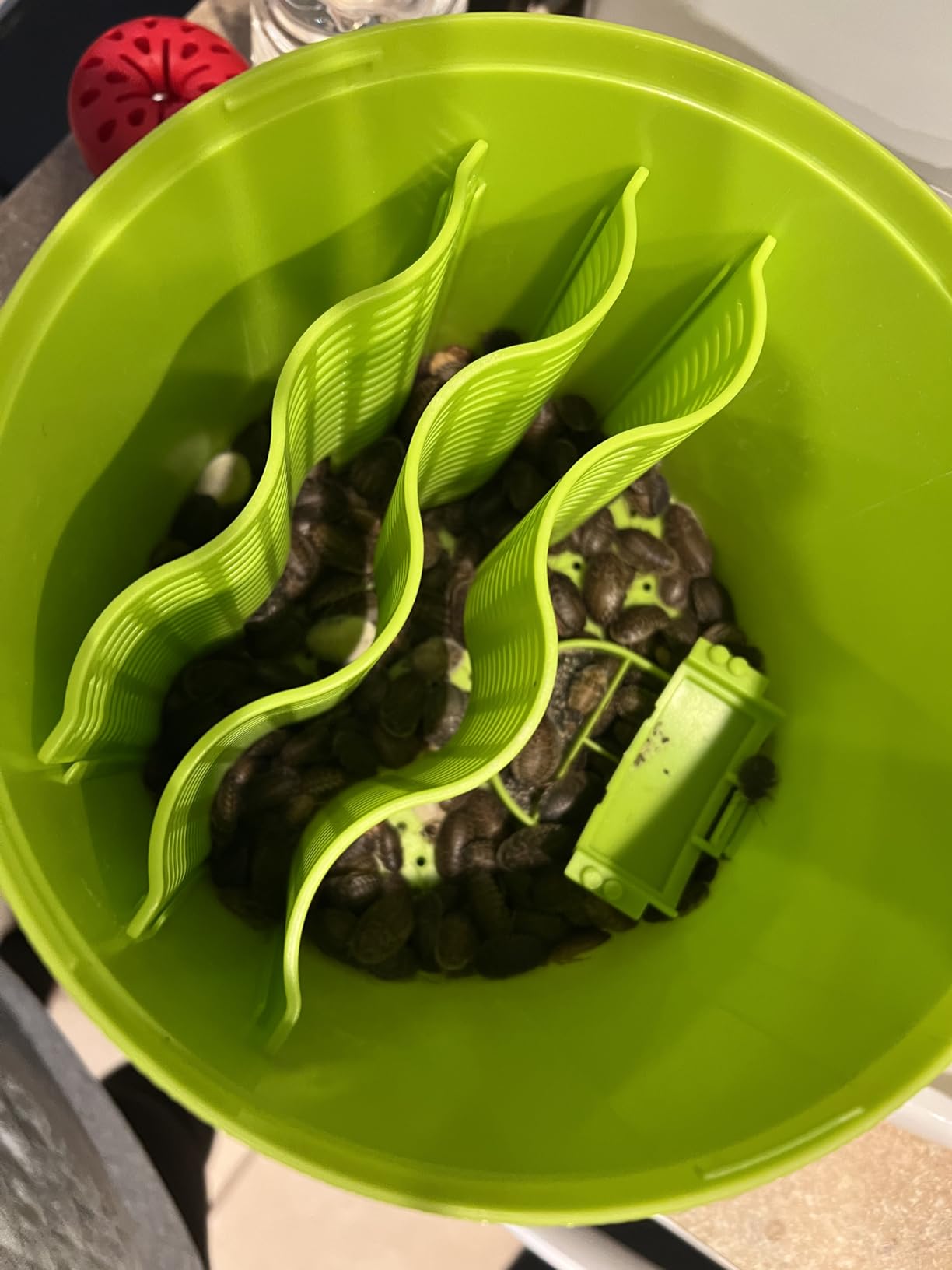 Professional Cricket Keeper Live Worm Organizer Tank with Rubber Seal, Dubia Roach Habitat with Bug Dirt Management Function, Perfect for Keeping Silkworm, Cricket,Dubia Cockroach,Superworms customer photo 1