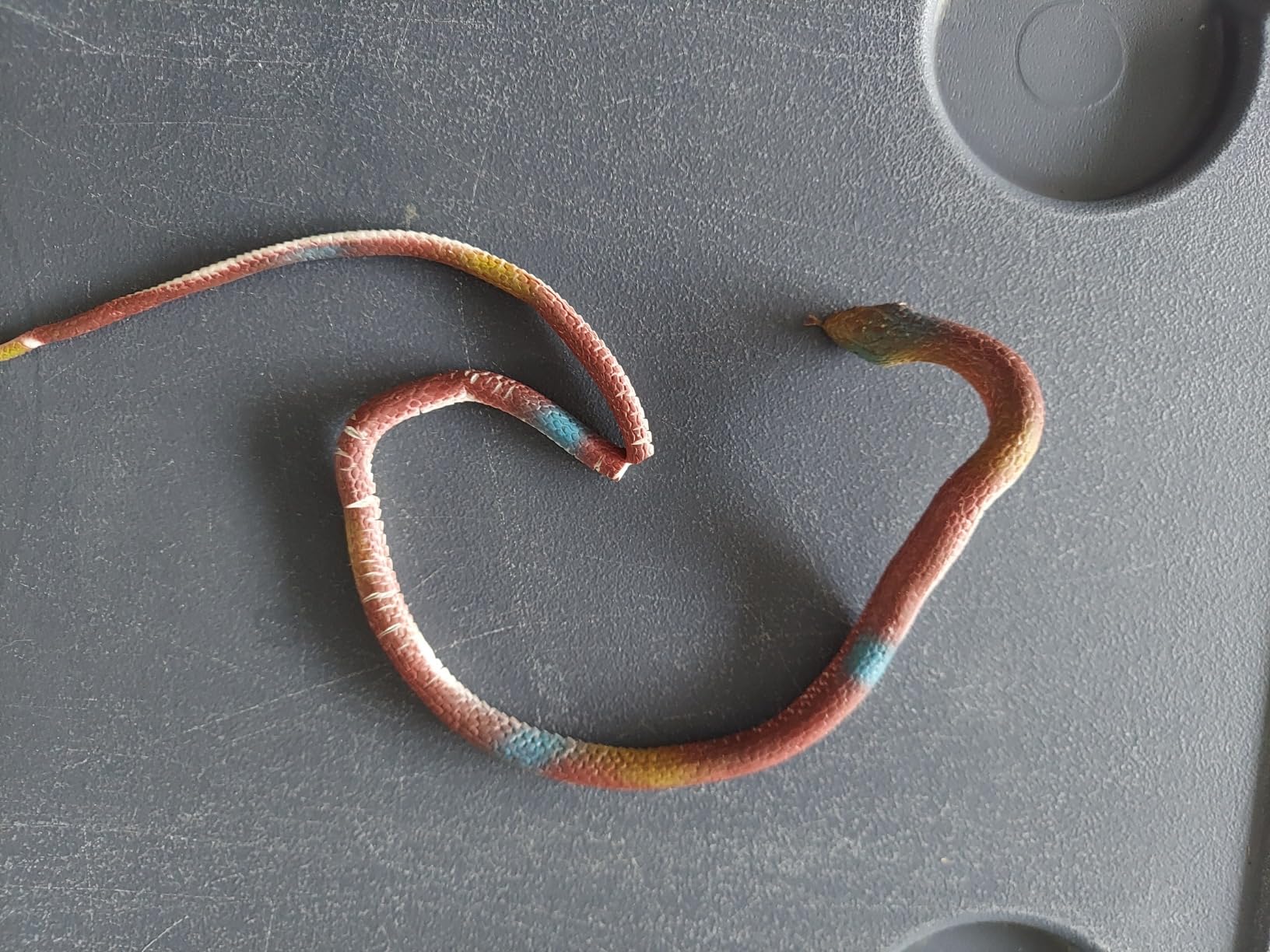 Rubber Snakes to Keep Birds Away - 4 PCS Realistic Fake Rubber Snake for Garden Props to Scare Birds, Squirrels and Mice customer photo 1