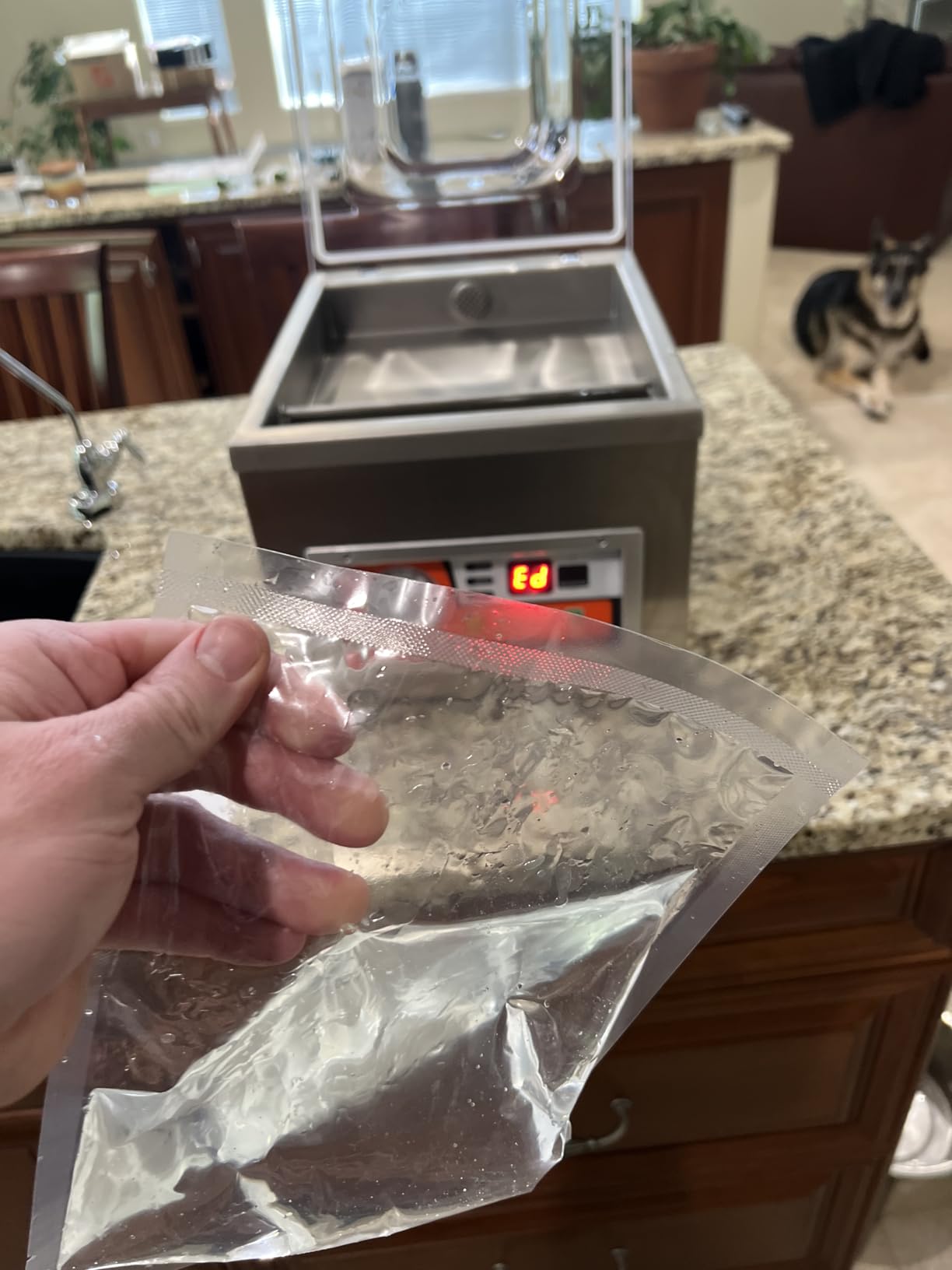 VEVOR Chamber Vacuum Sealer 260W Sealing Power 10.2 Inch Sealing Length customer photo 1