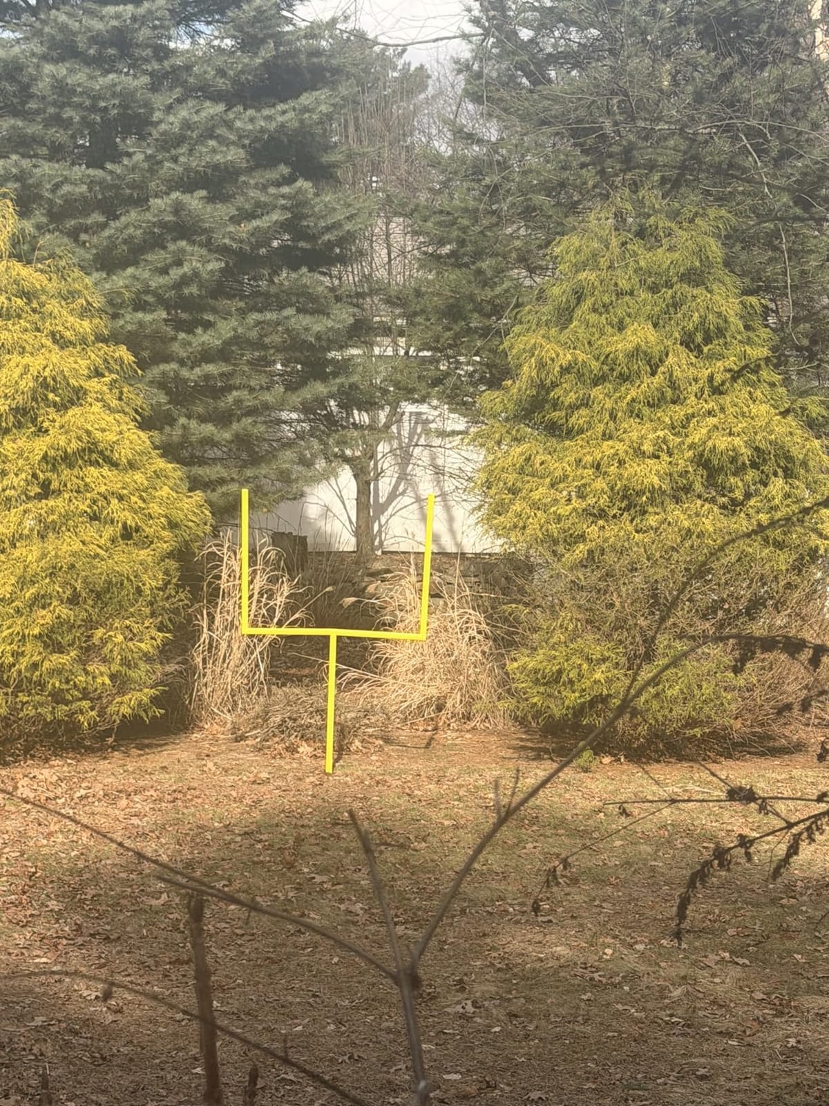 GoSports Football Field Goal Post - 6 or 8 ft Backyard Football Game customer photo 1