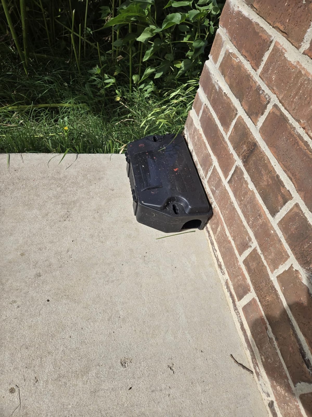 Victor Refillable Rodent Bait Station - XL Rodenticide Bait Station - Also Holds Rat Traps - Indoor and Outdoor Use - M901RB - Poison and Kill Rats customer photo 1
