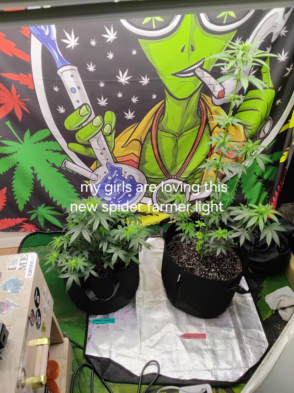Spider Farmer G4500 LED Grow Light 320W for 2x4 Grow Tents, App‑Controlled | Cost‑Effective Bar‑Style Dimmable Grow Lamp with Bridgelux Diodes, Full Spectrum for Indoor Plants Seedling Veg Flowering customer photo 1