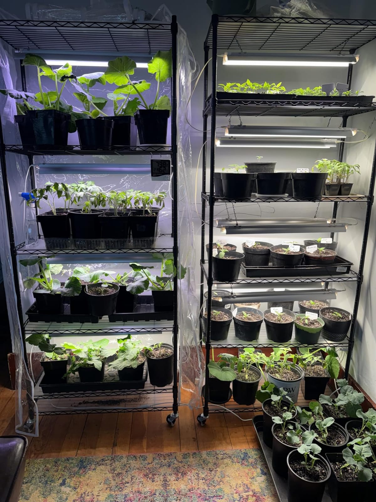 Bstrip 6-Tier Indoor Greenhouse with Grow Light, 29.5x13.8x71in customer photo 1
