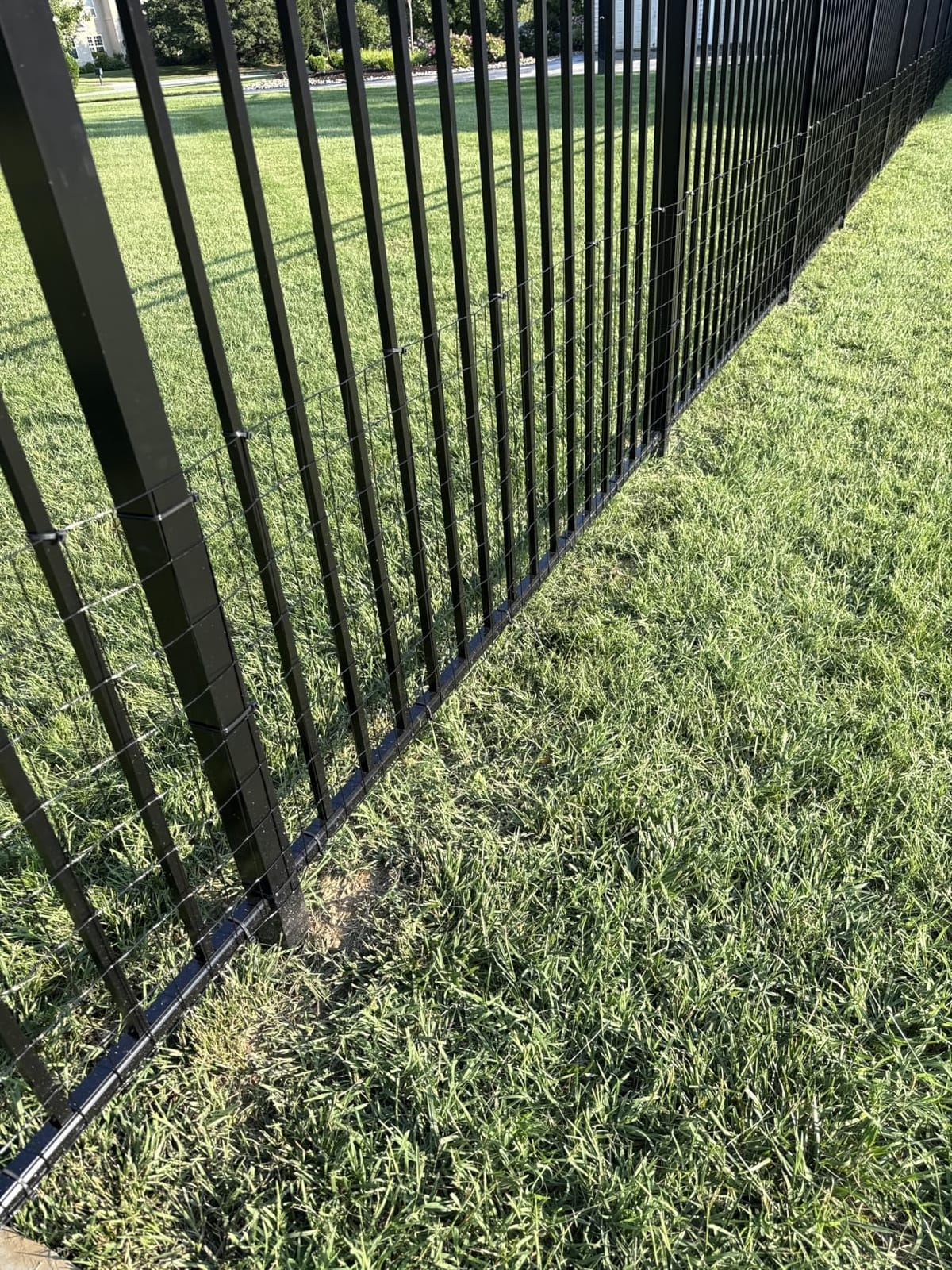 Black PVC Coated Welded Wire Fence 48