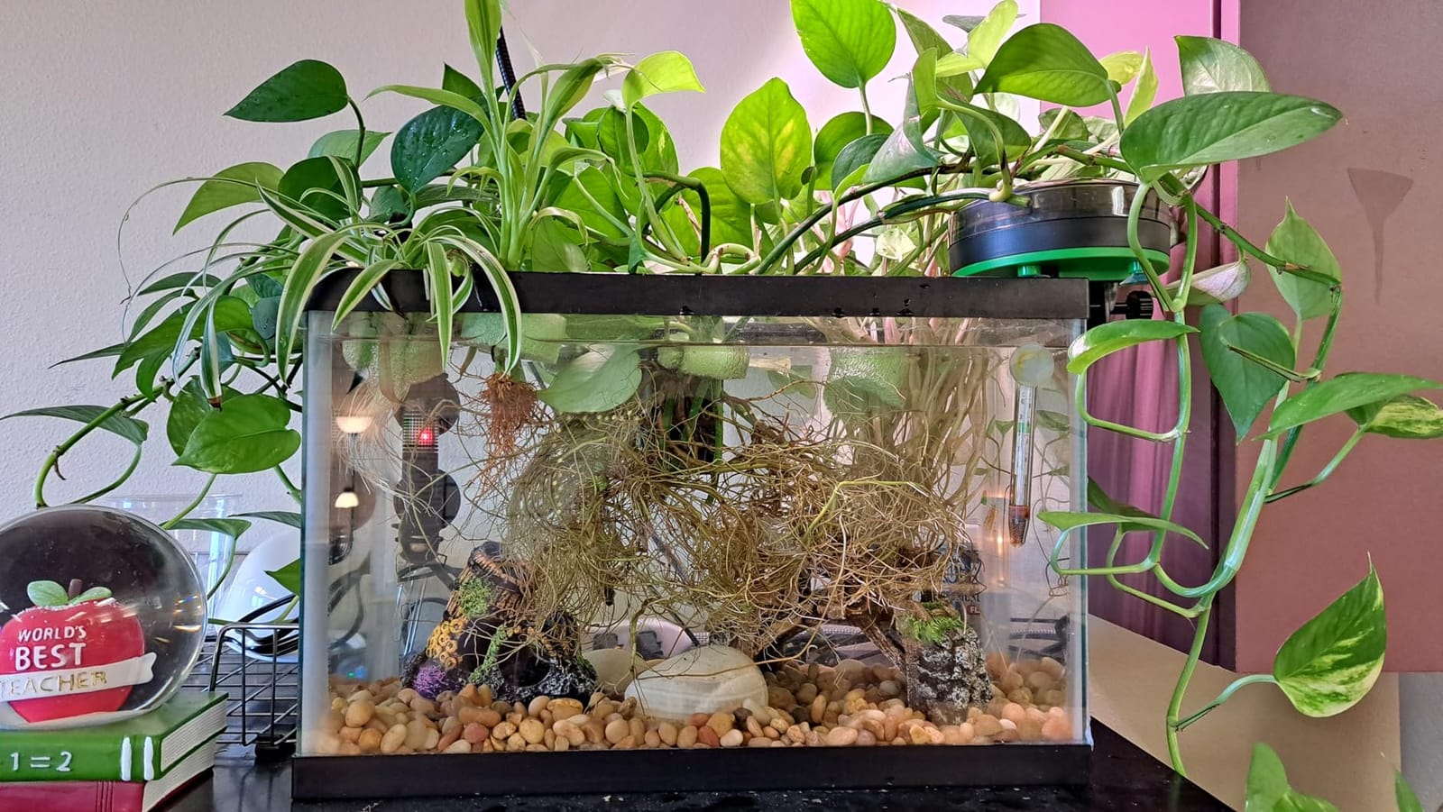 Automatic Fish Feeder for Aquarium Portion Control & Moisture-Proof customer photo 1