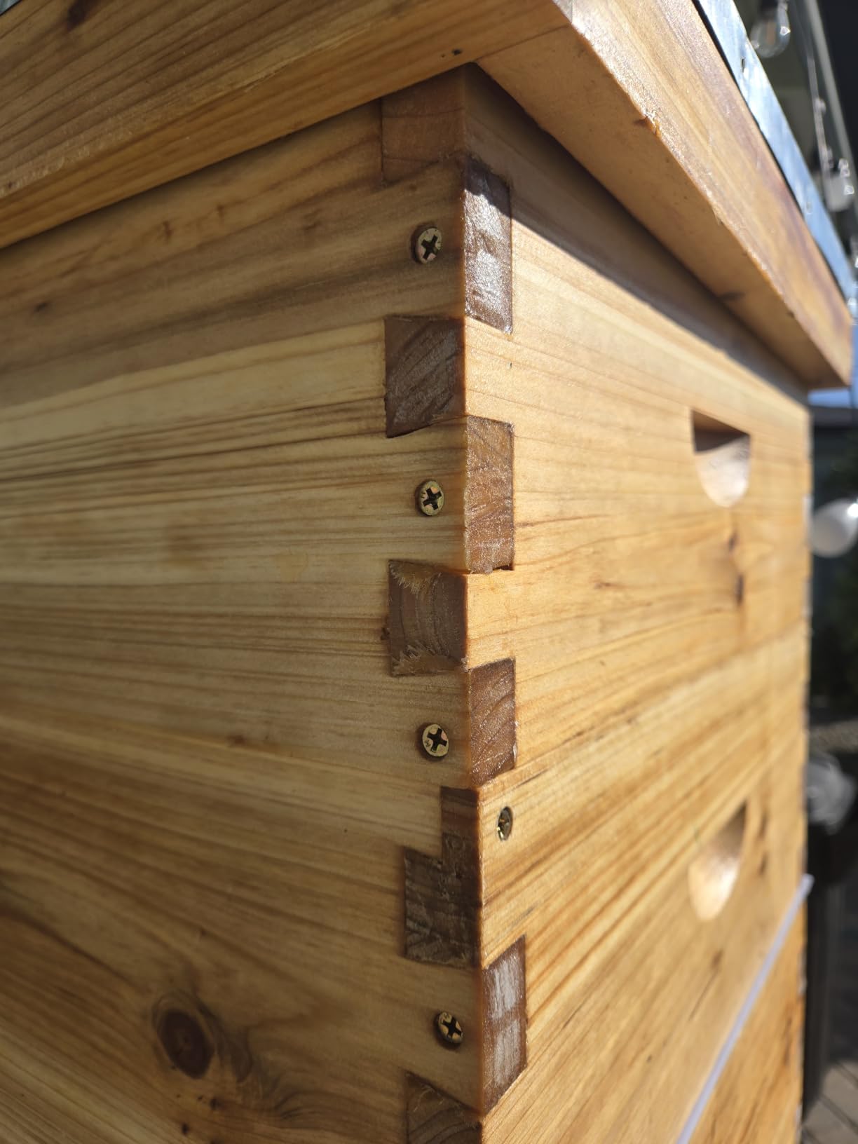 MayBee 10-Frame Langstroth Beehive Dipped in 100% Beeswax, Complete Bee Hives and Supplies Starter Kit Includes 2 Deep Hive Bee Box and 2 Bee Hive Super with Beehive Frames and Foundation customer photo 2
