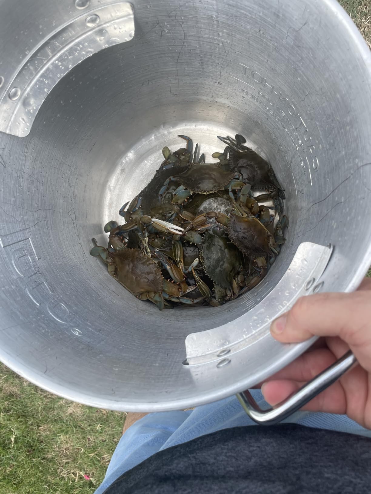 Portable Collapsible Crab & Fish Trap Net Pot for Crabbing 6030 customer photo 1