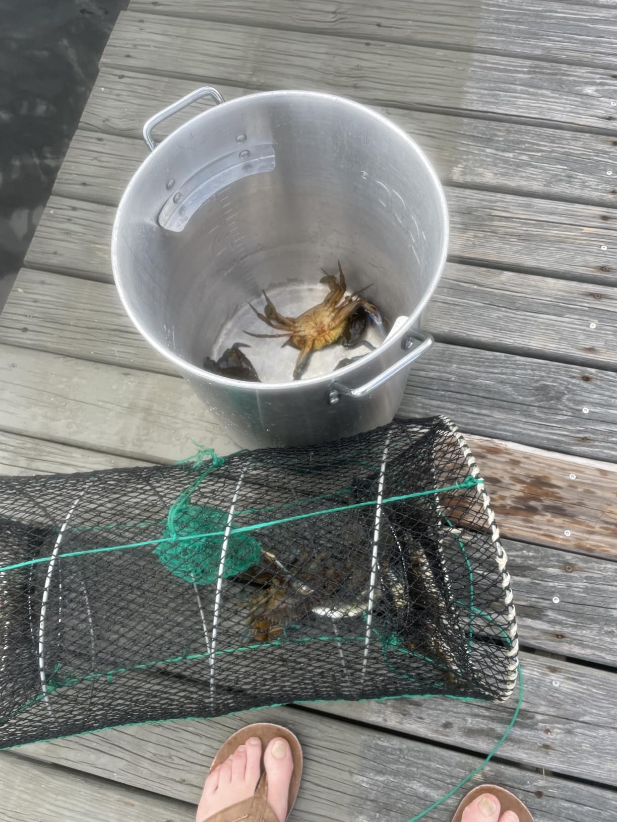 Portable Collapsible Crab & Fish Trap Net Pot for Crabbing 6030 customer photo 2