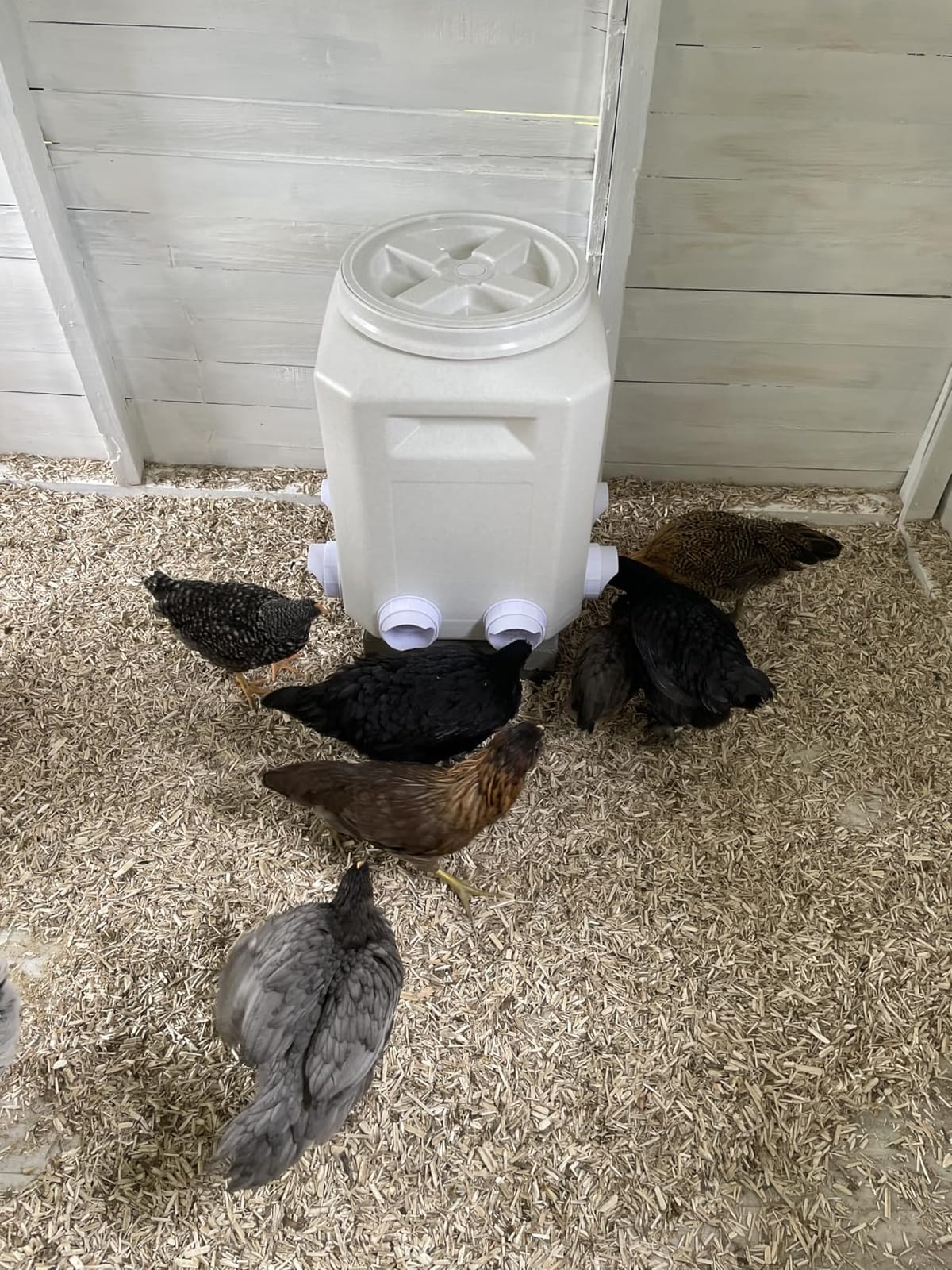 Essilnn DIY Chicken Feeder and Waterer Automatic Chicken Feeder No Waste Poultry Feeder Kit for Buckets Barrels Bins Troughs, 6 Ports and 6 Water Cups customer photo 2