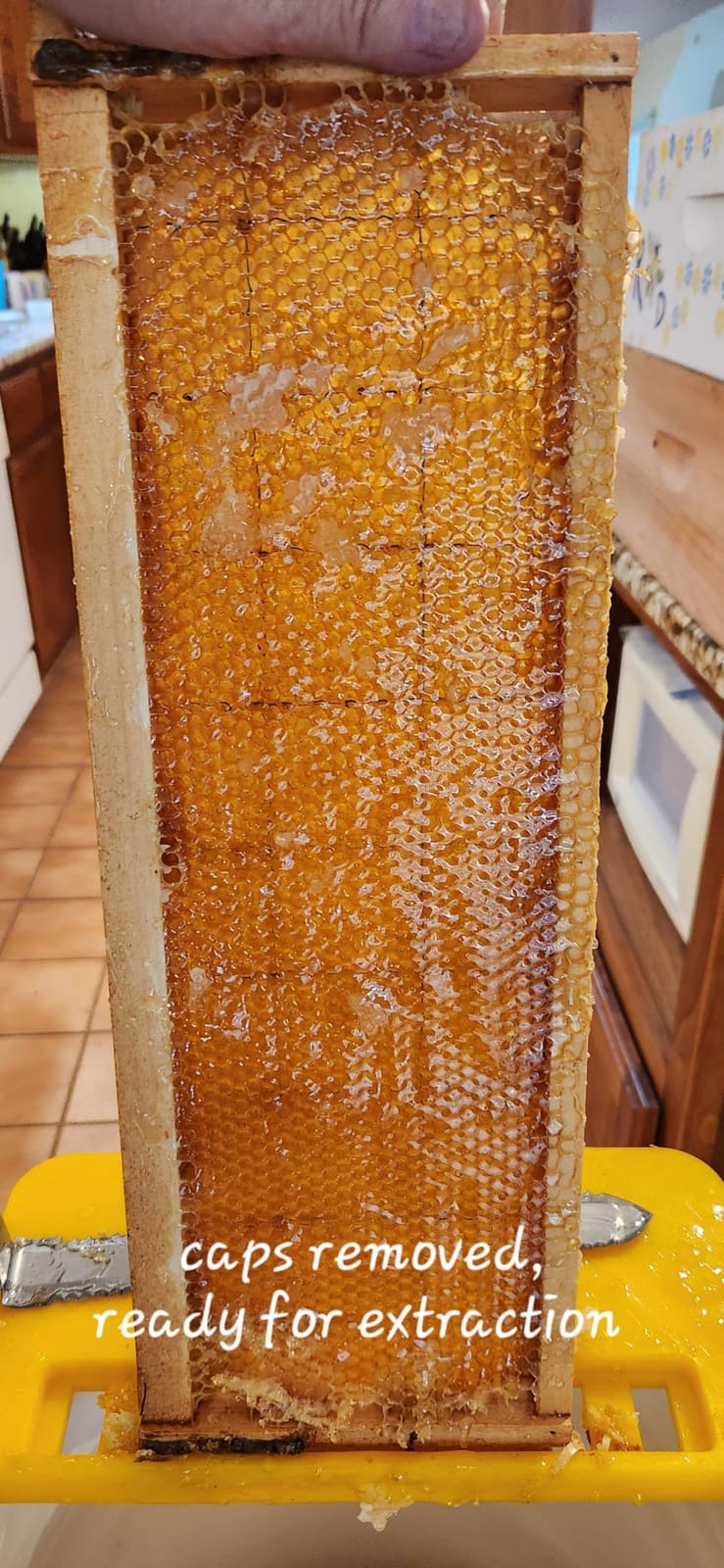 VEVOR 3 Frame Manual Honey Extractor Stainless Steel Beekeeping Extraction | with Hand Crank, Clear Lid and Height Adjustable Stand, Honey Extractor for Beginner Backyard Beekeeping, Small Apiaries customer photo 1