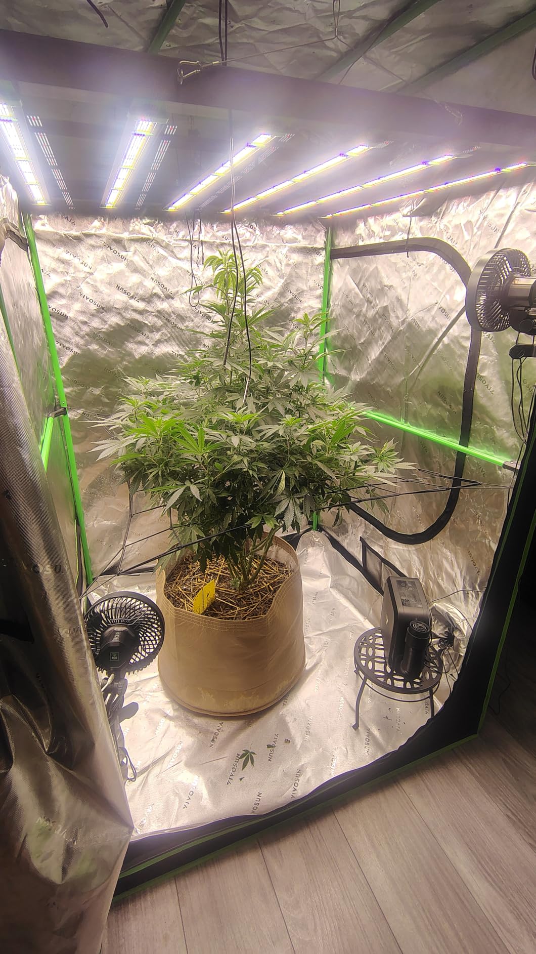 VIVOSUN AeroWave E6 Gen2 Grow Tent Oscillating Clip Fan, 6 in Fan, 2-Pack customer photo 2
