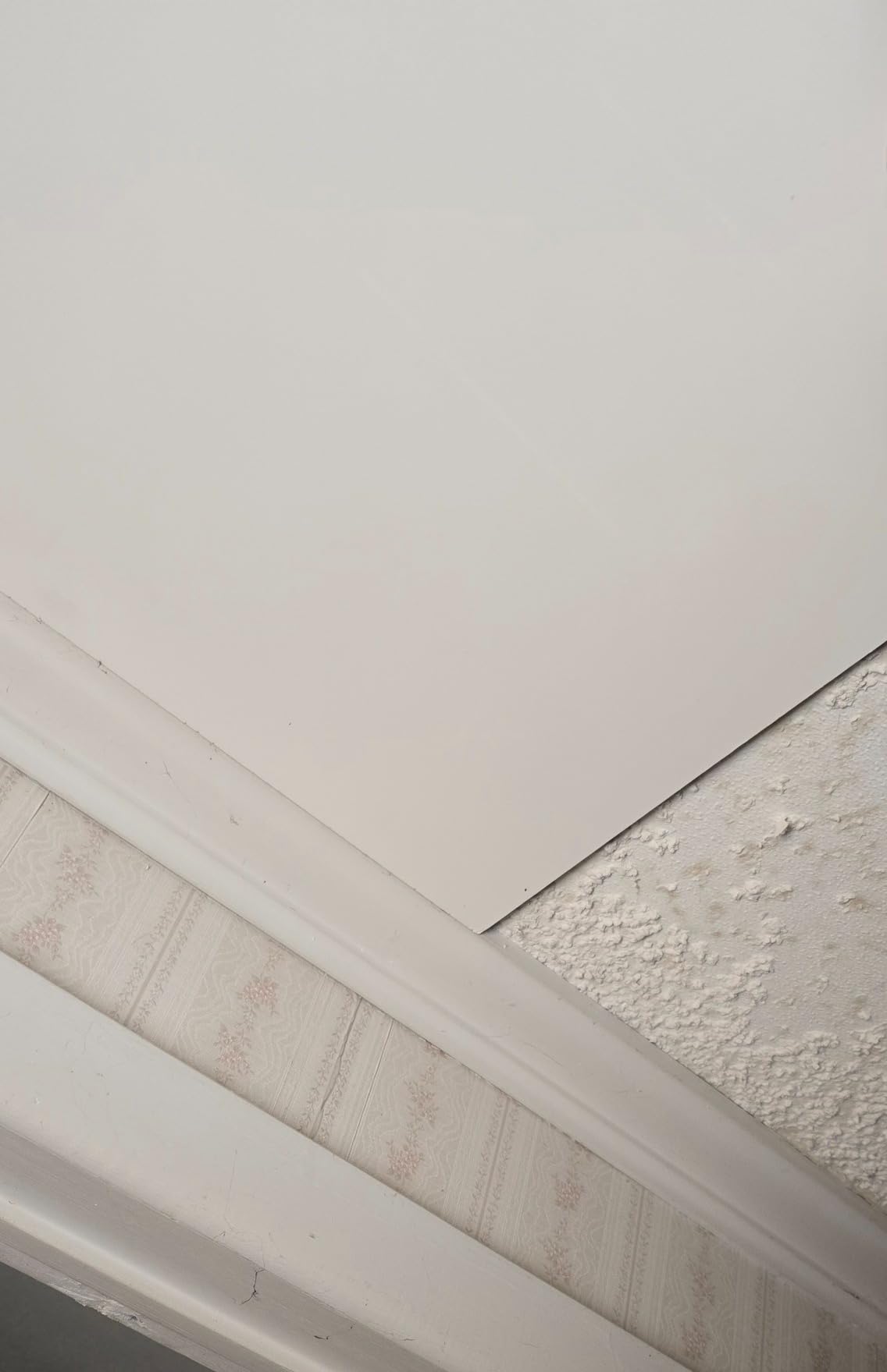 PVC Drop Ceiling Tiles 2x4 ft – Waterproof, Fire-Rated, Commercial Grade, Easy Lay-in Installation for 15/16