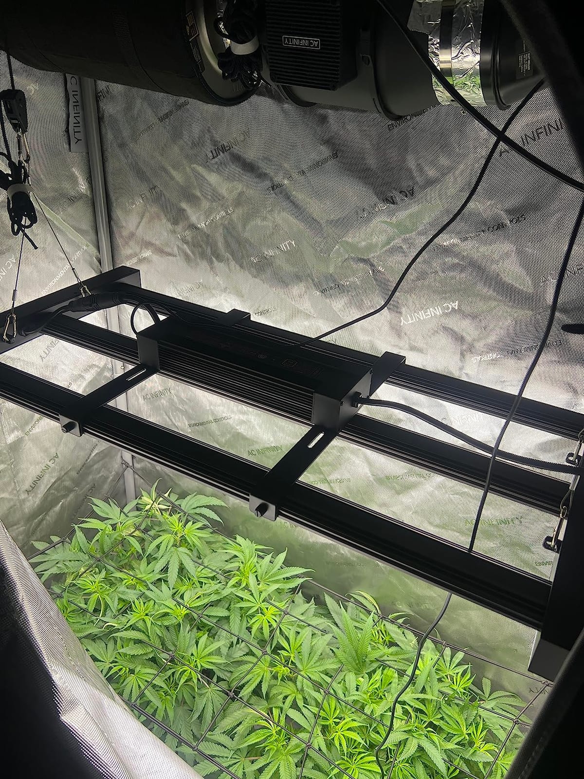 AC Infinity IONFRAME EVO3, Samsung LM301H EVO Bar LED Grow Light 2x4. customer photo 1