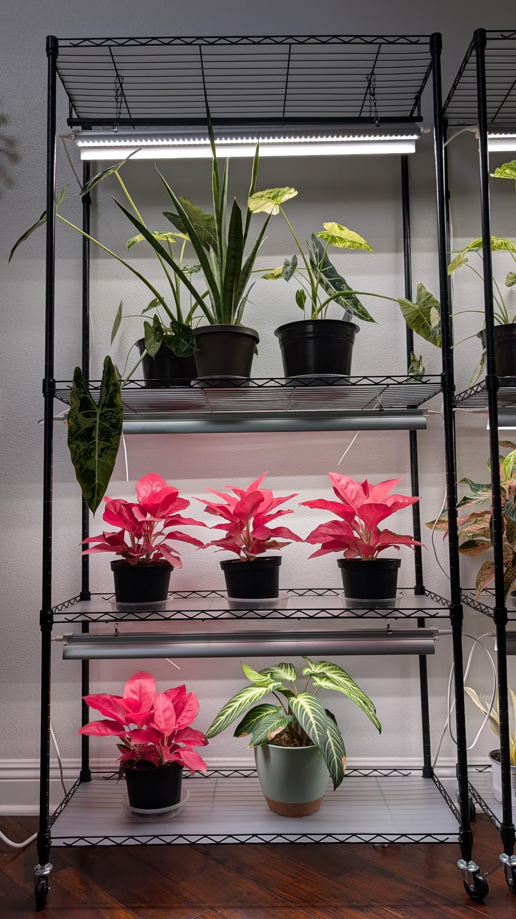 Barrina CX3 Plant Stand with Grow Light, 4-Tier, 108W, 35.4x13.8x70.9IN customer photo 1